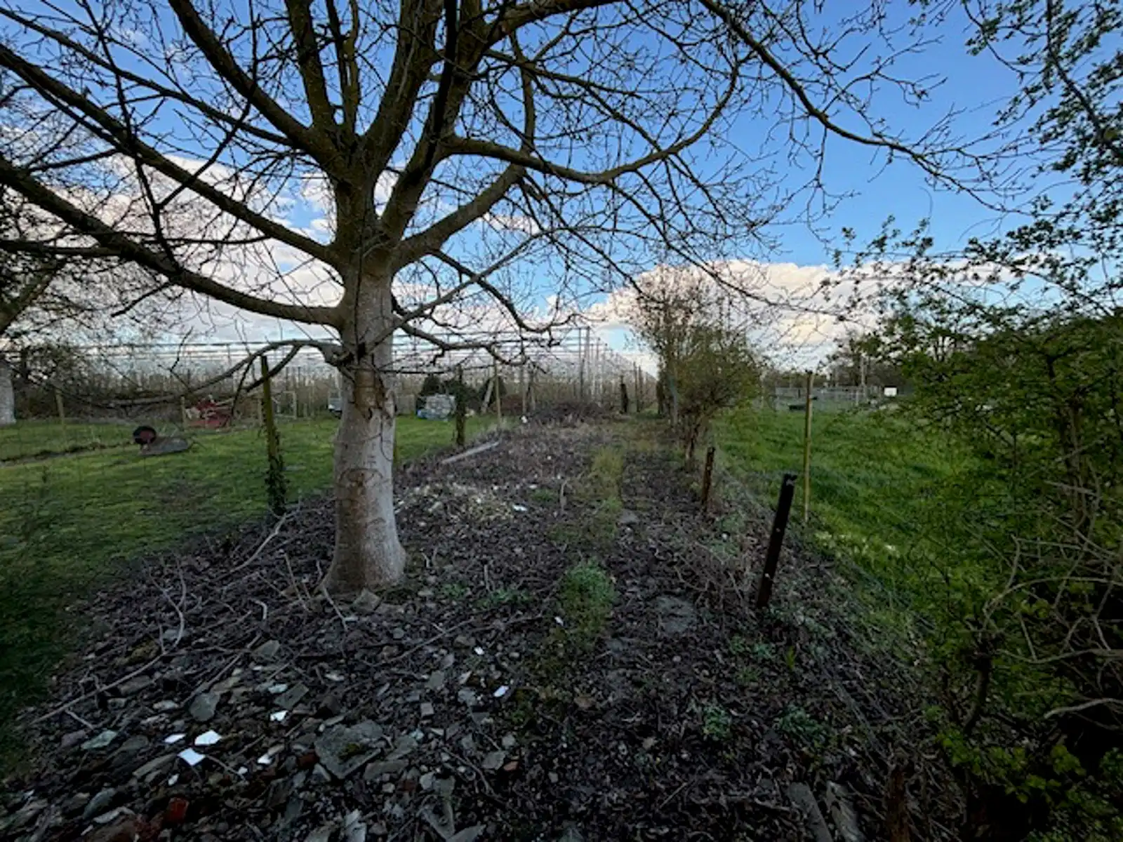 Rijwoning met zij- en achteringang te Gingelom foto 15