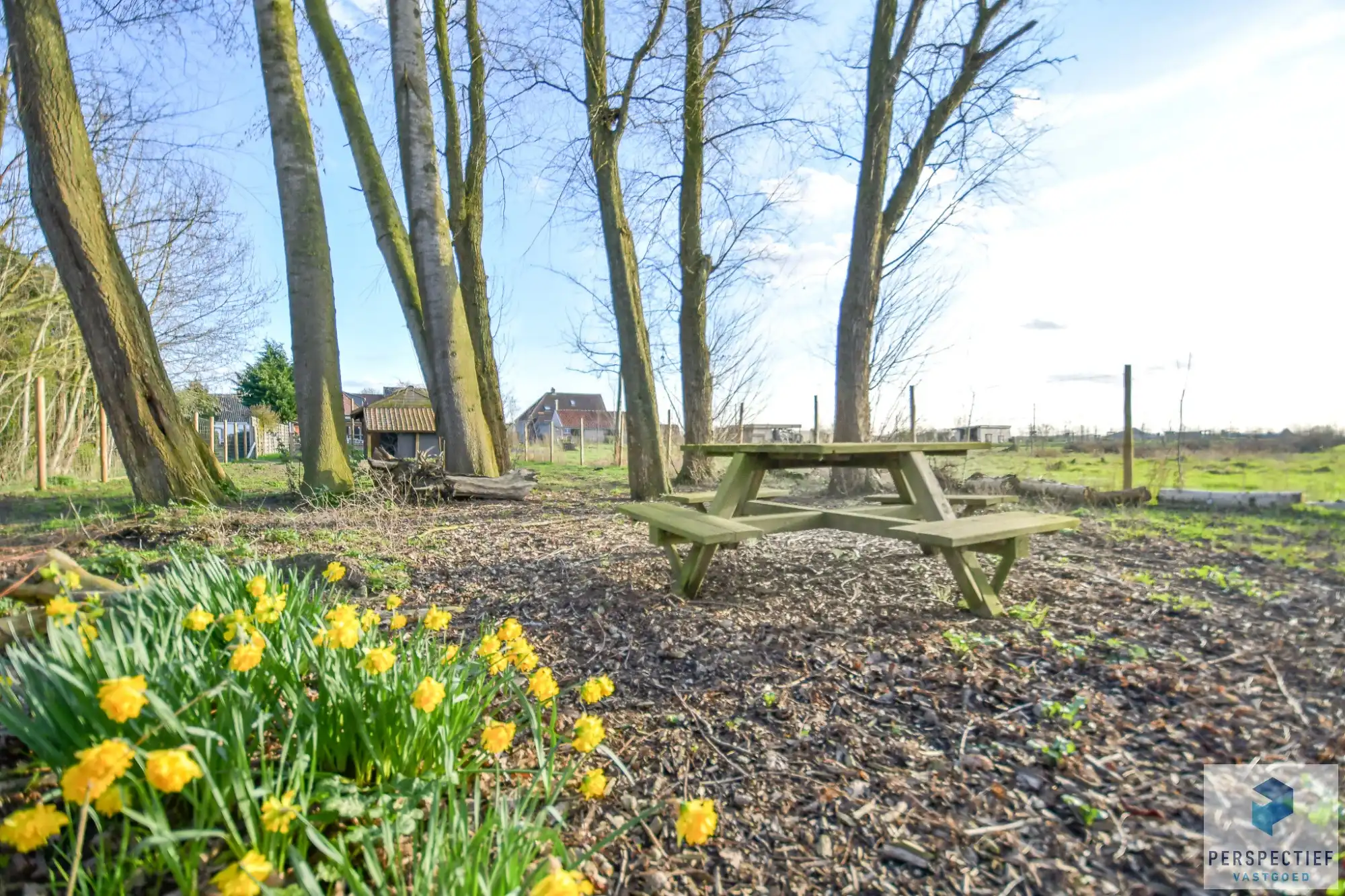 Ruime woning met tuin, kleine weide & bijgebouw gelegen in landelijke omgeving in Oedelem op  1 365 m² foto 6