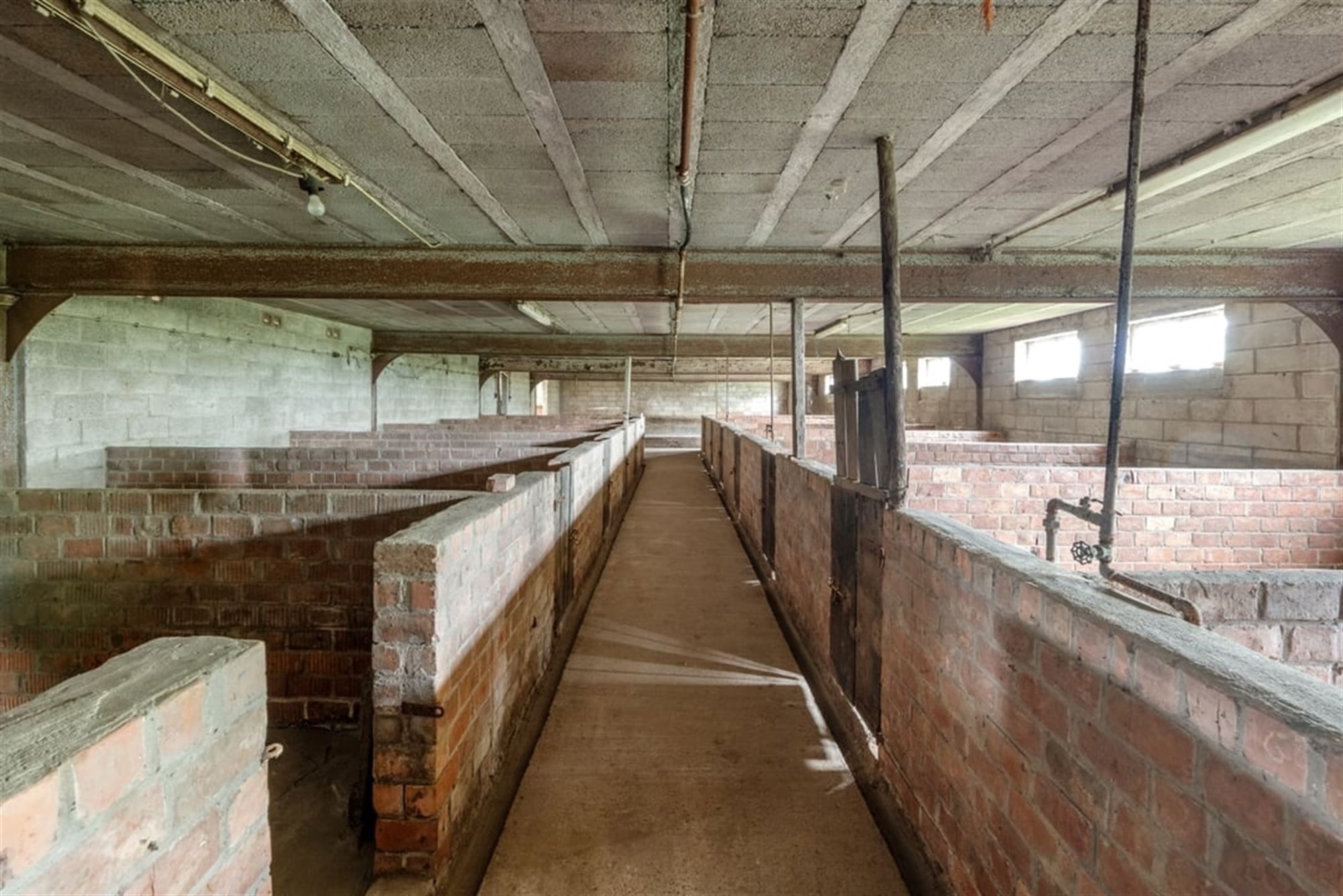 RUIME GEZINSWONING MET LOODS EN WEIDE OP 1,1 HECTARE IN HET LANDELIJKE SINT-TRUIDEN foto 18