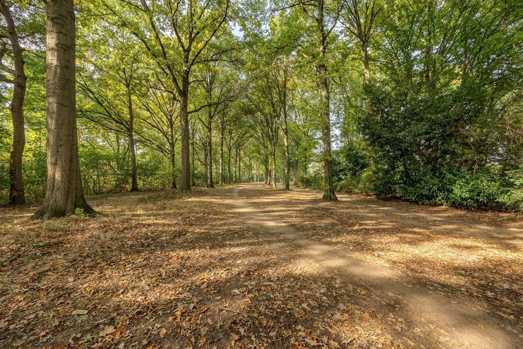 Hoogwaardig gerenoveerd appartement  foto 21