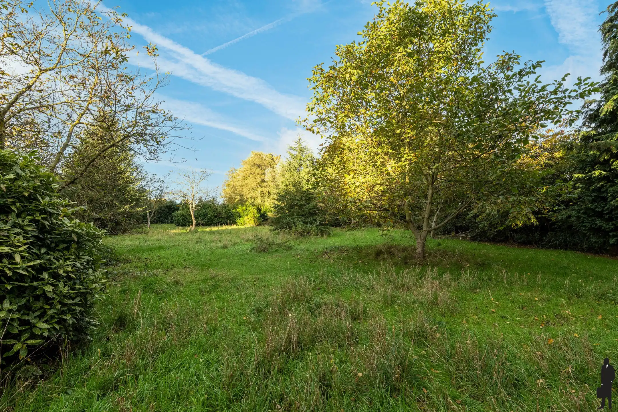 Te renoveren villa met weiland en verkavelingspotentieel foto 19