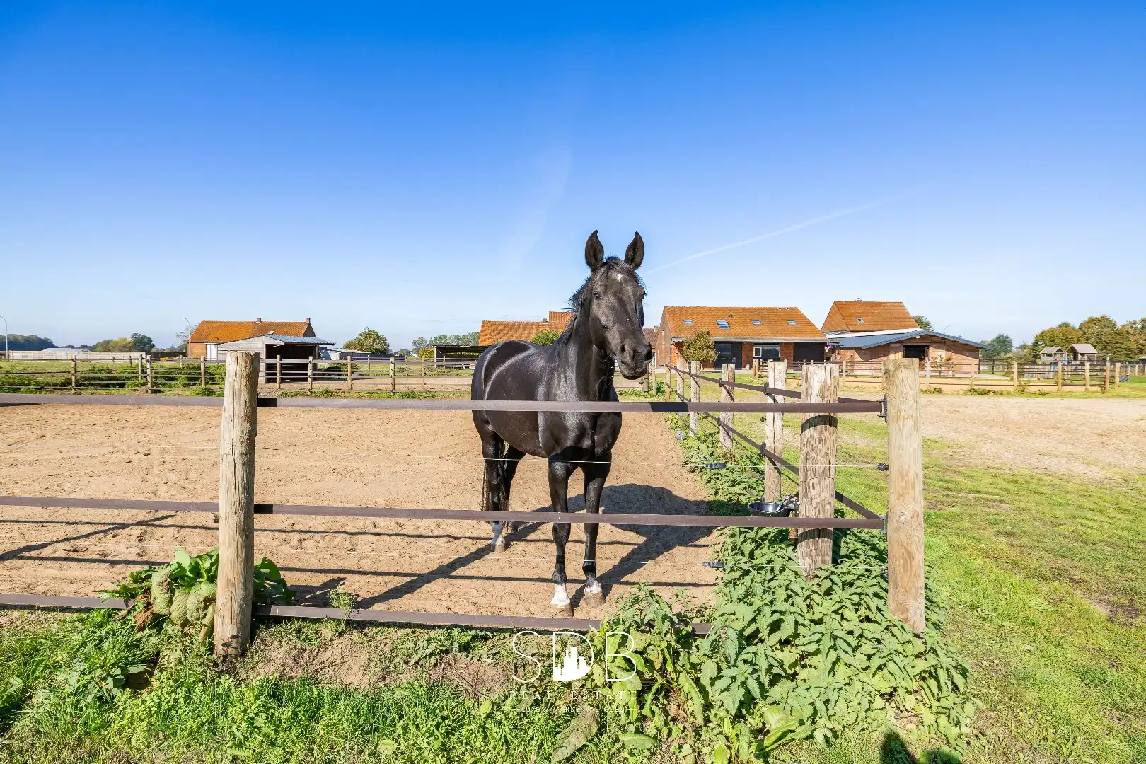 Hedendaagse woning met hippische accommodatie op 17.782m² foto 35