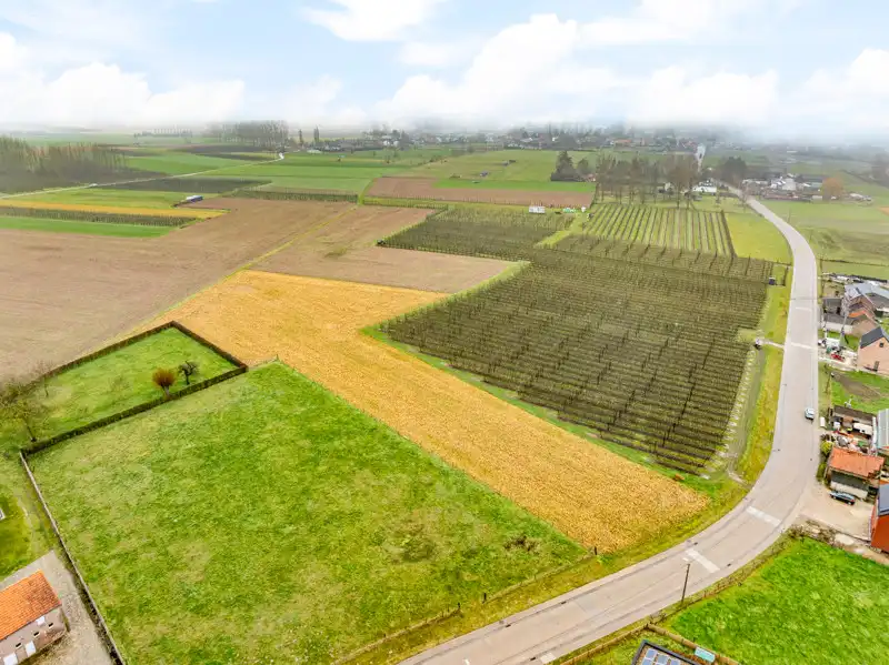 Landbouwgrond van 66are 76ca in Hoeleden foto 5