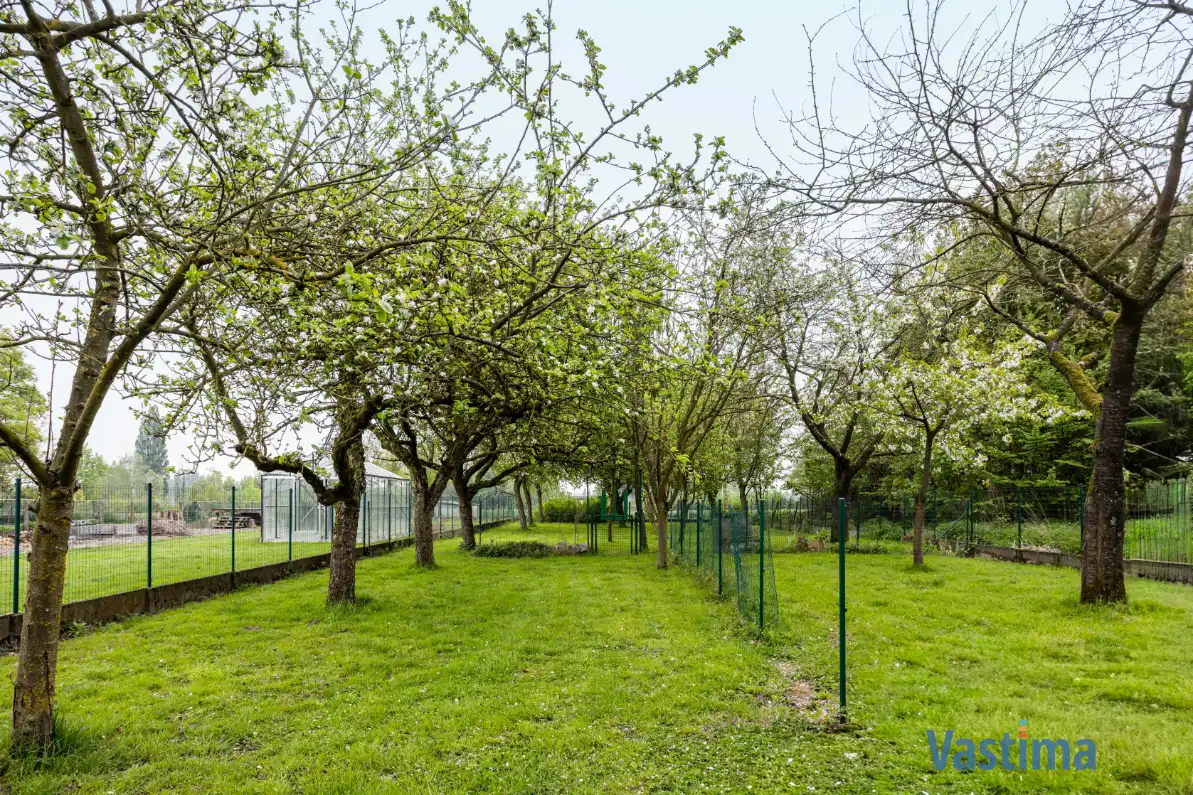 Ruime halfopen bungalow met grote kelder, 3 slaapkamers en zonnige tuin foto 36