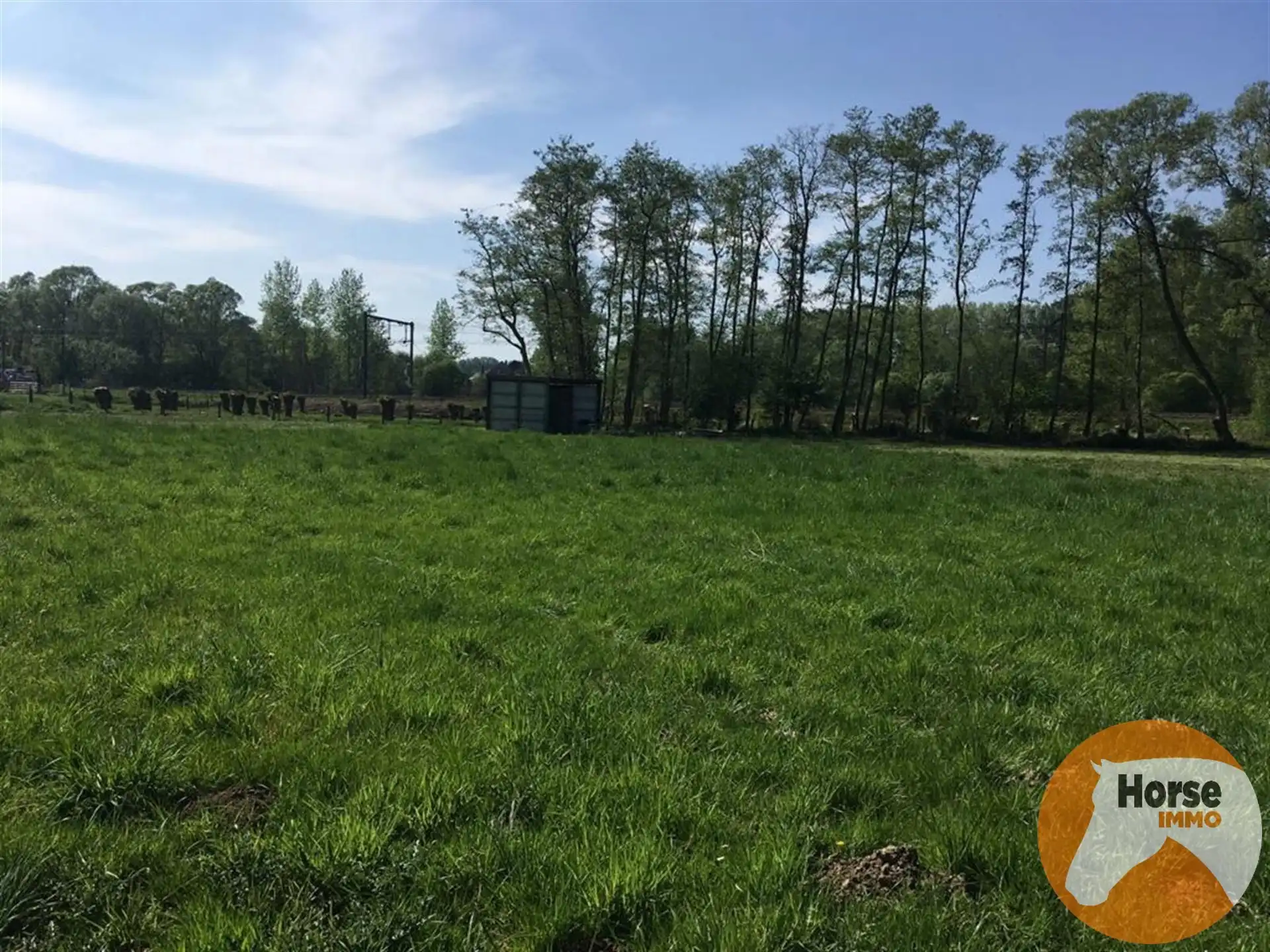 DENDERLEEUW - Weide van 1,6 HA. foto 2