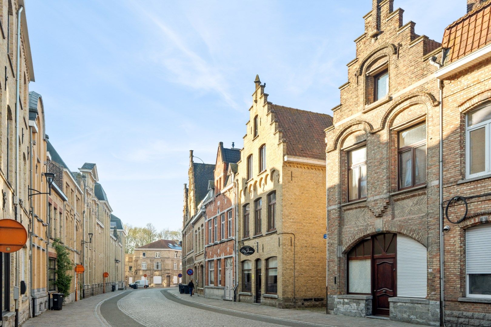 Unieke herenwoning momenteel uitgebaat als B&B en vakantiewoning  foto 2