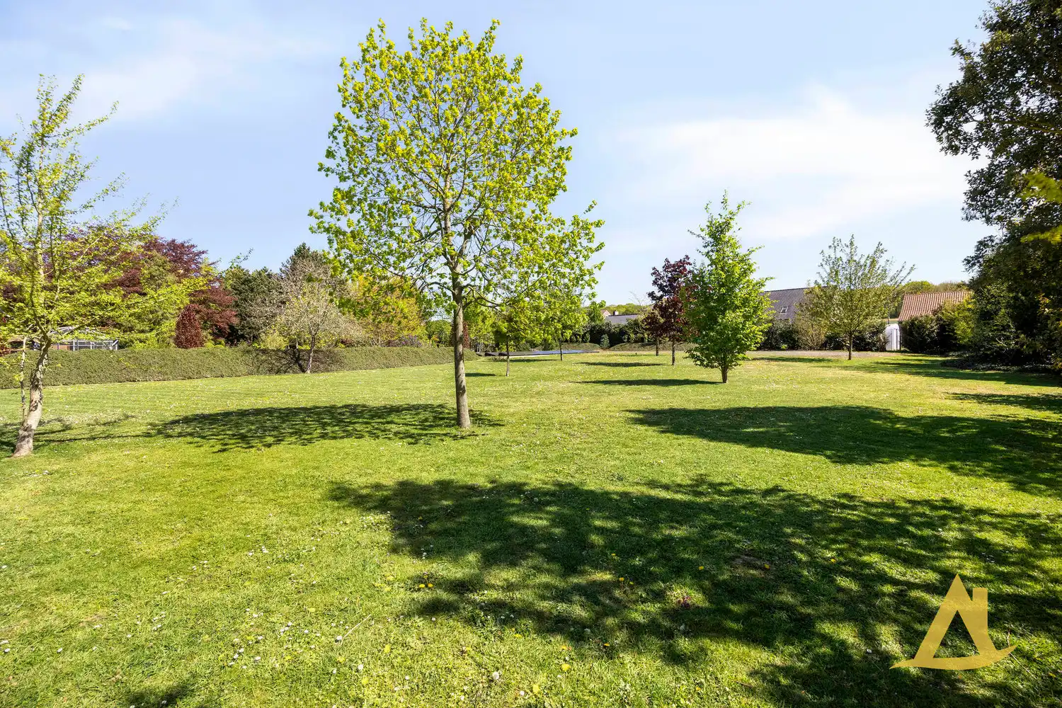 EXCLUSIEVE VILLA MET PARKTUIN EN ZWEMVIJVER OP EEN PERCEEL VAN 1HA 5A 16CA! foto 66