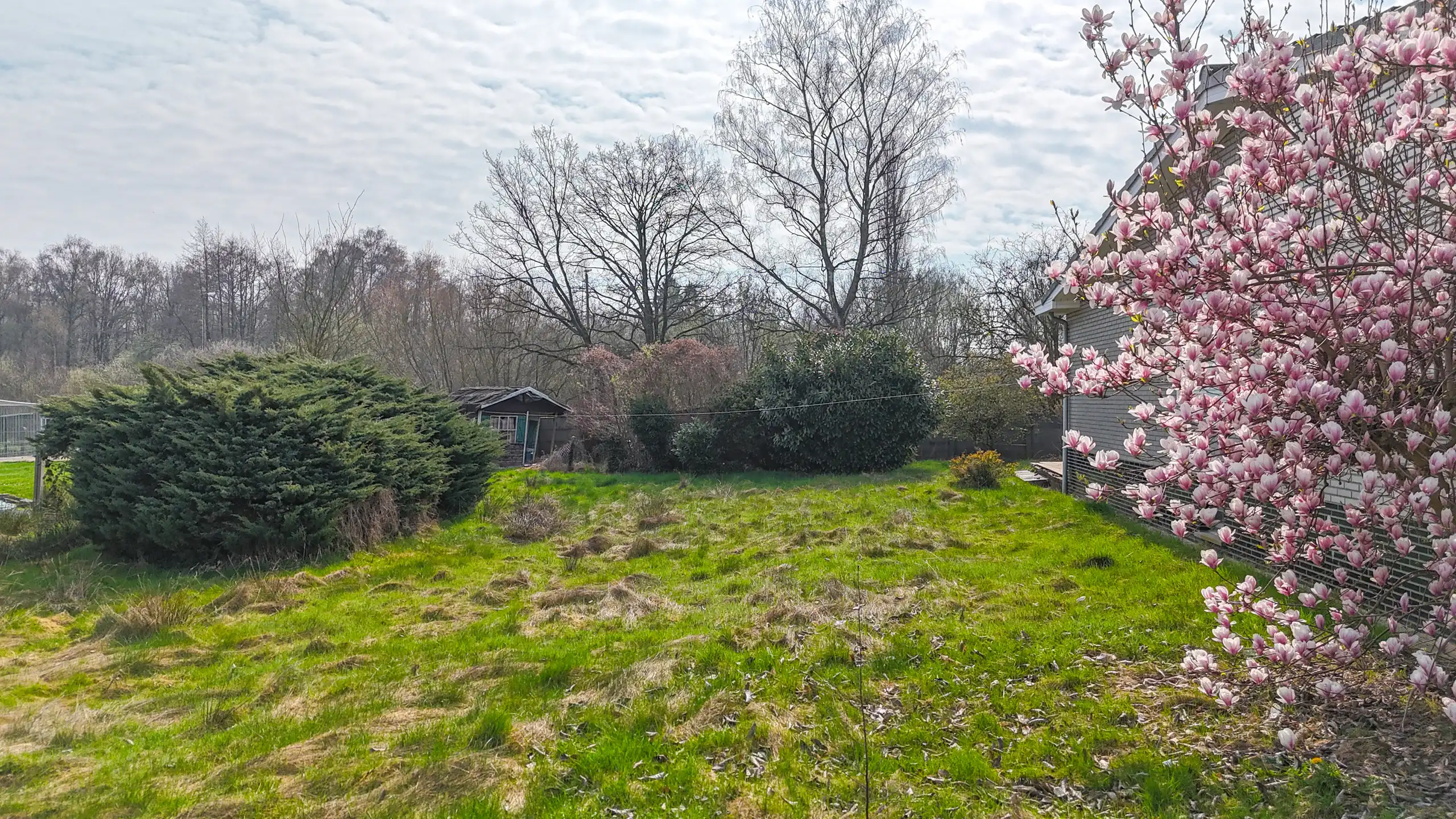 Rustig gelegen bungalow op zeer ruim perceel in Heusden! foto 43