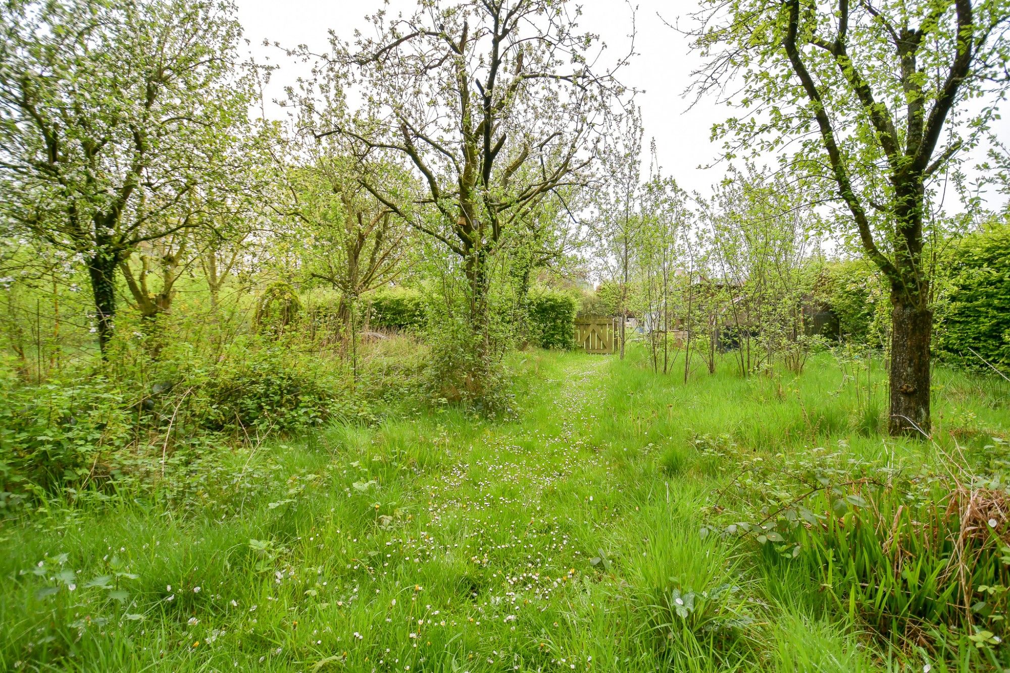 GOED GELEGEN WONING met prachtige idyllische tuin en uitweg op een perceel van 2034 m² met landelijke uitzichten foto 27