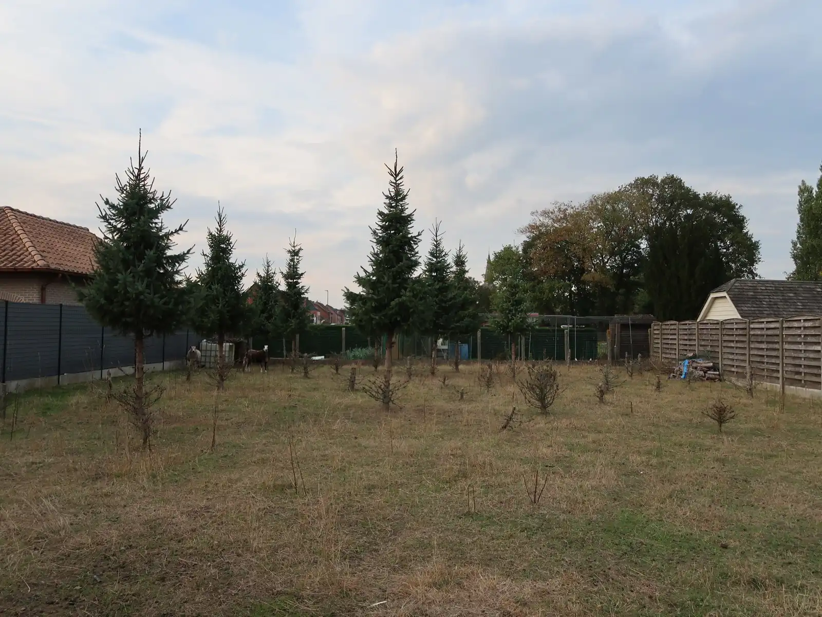 UNIEKE KANS - groot perceel 770m² open bebouwing te WESTERLO foto 8