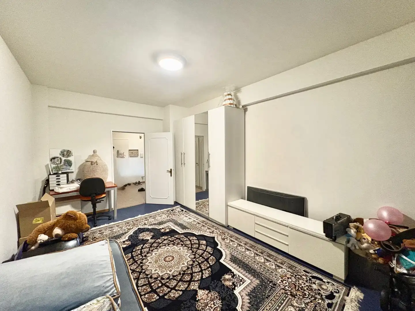 Ruim 2-slaapkamerappartement met uniek zicht op het Stadspark foto 12