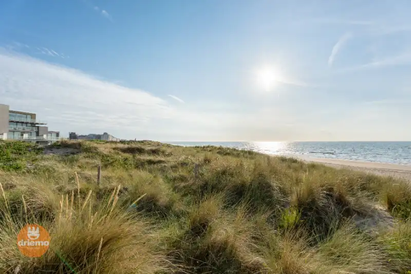 EENSLAAPKAMERAPPARTEMENT IN SINT-IDESBALD - Diga Verde 0.09 foto 9