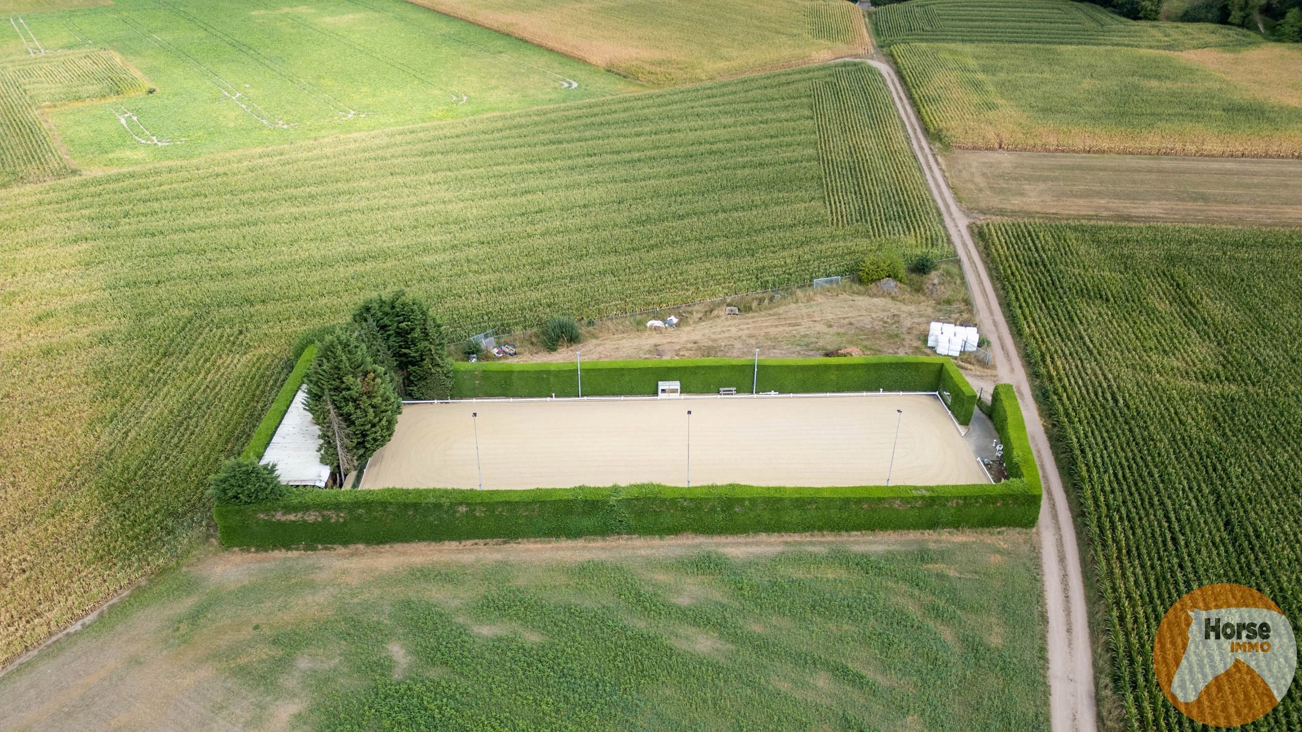 NEEROETEREN - Woning met accommodatie voor (semi)professioneel foto 25