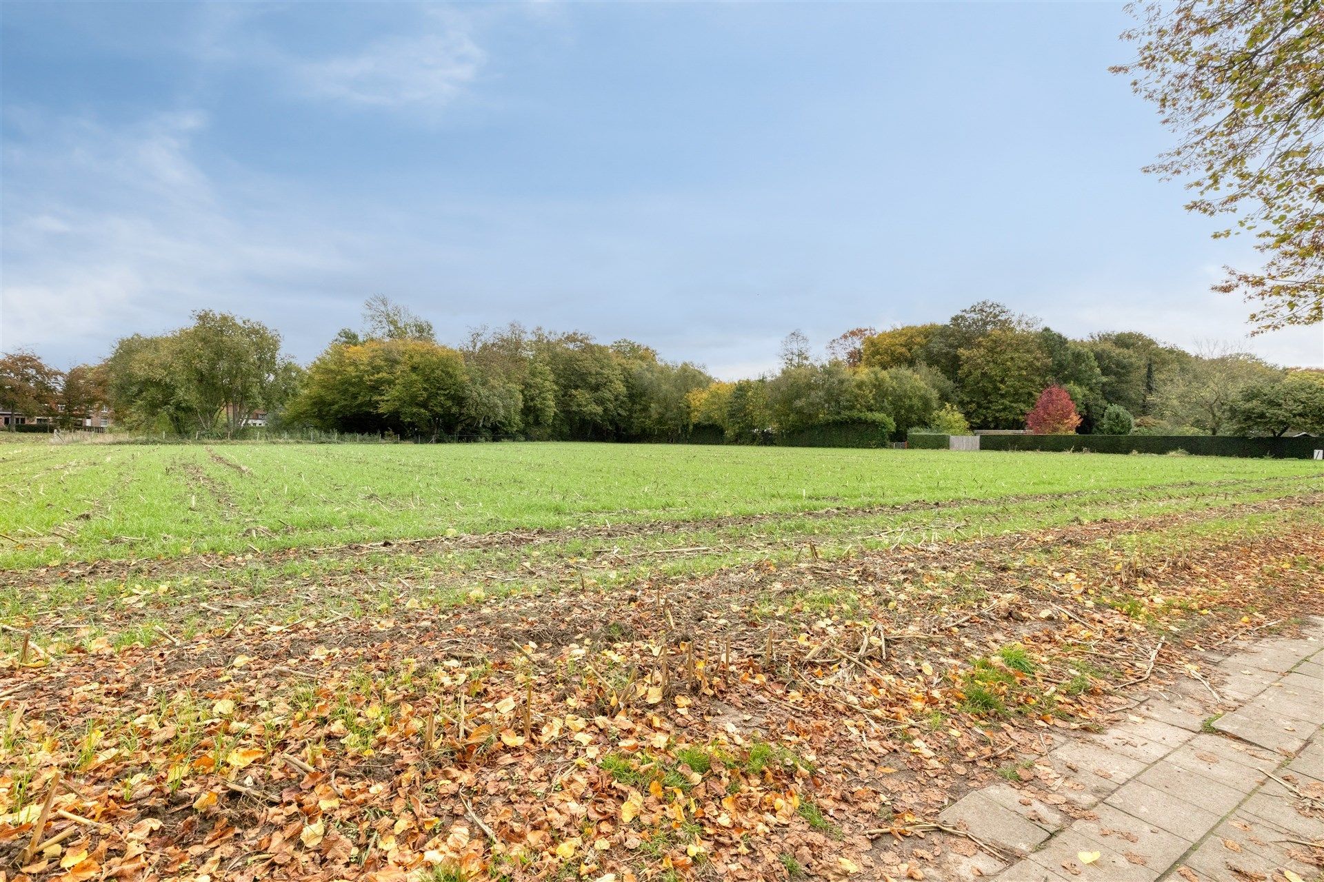 Ruime gezinswoning met 8 a 9 slaapkamers, een riante tuin en een prachtig uitzicht op weiland. foto 3