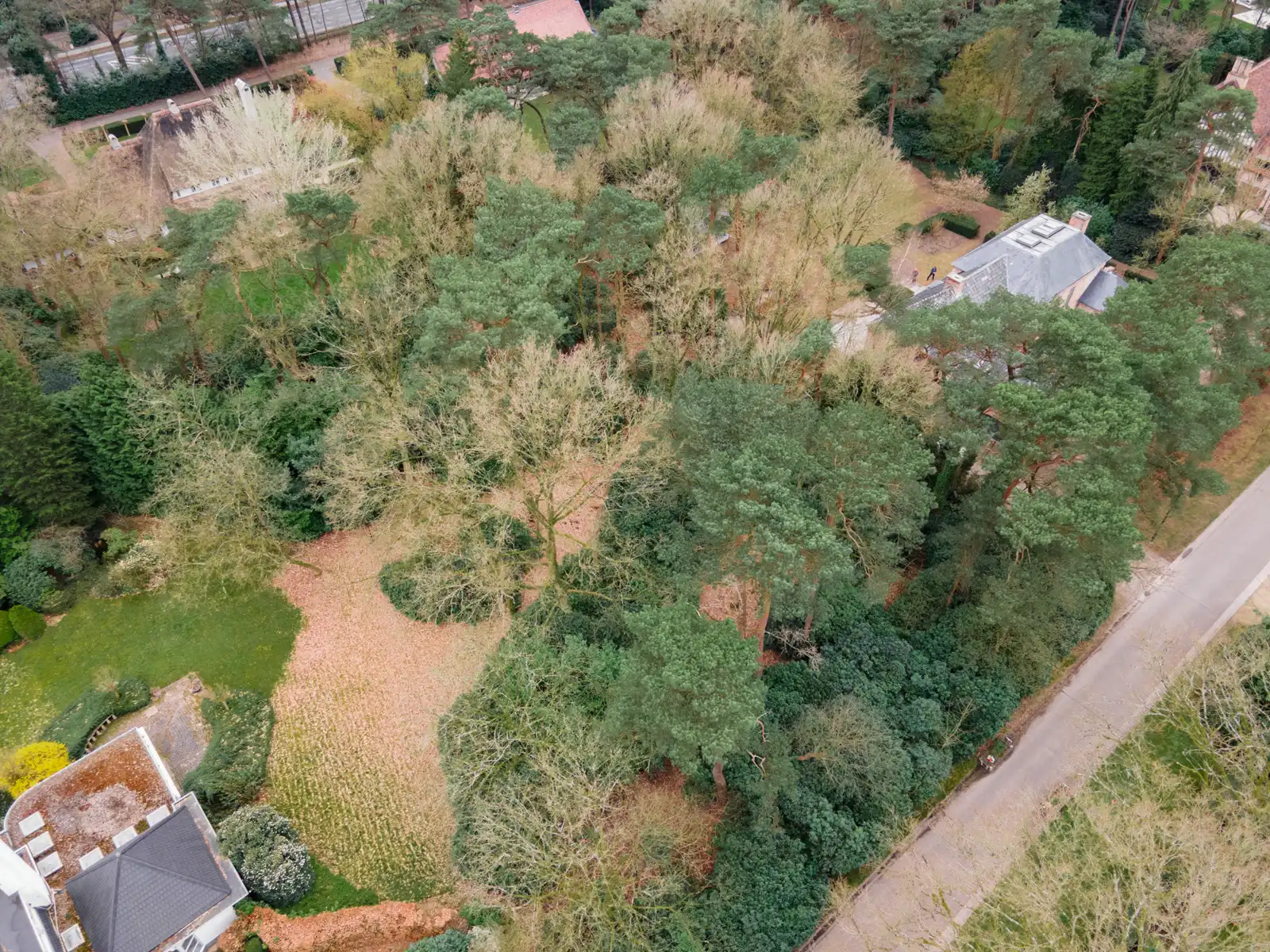 Te renoveren villa op toplocatie, voorkant Schilde  foto 41