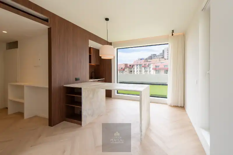 Vernieuwd dakappartement met zeer groot dakterras. foto 10