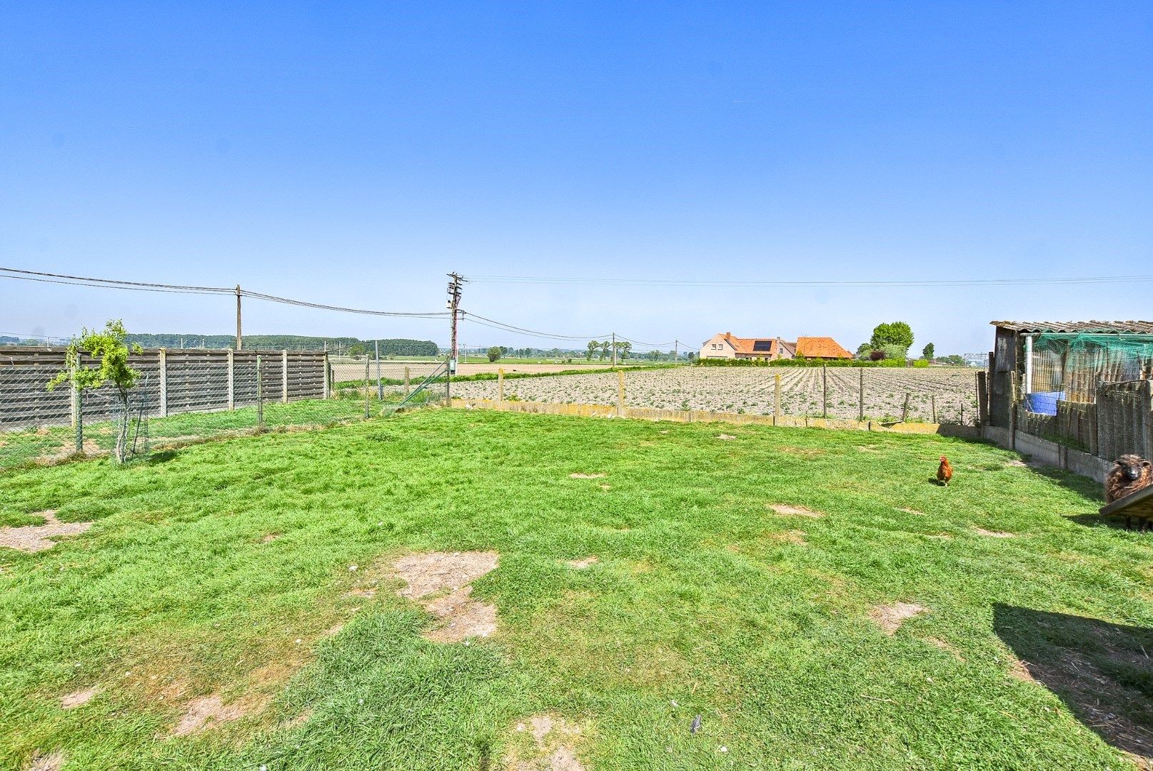 Halfopen bebouwing met 3 slaapkamers op 861m² te Diksmuide! foto 4
