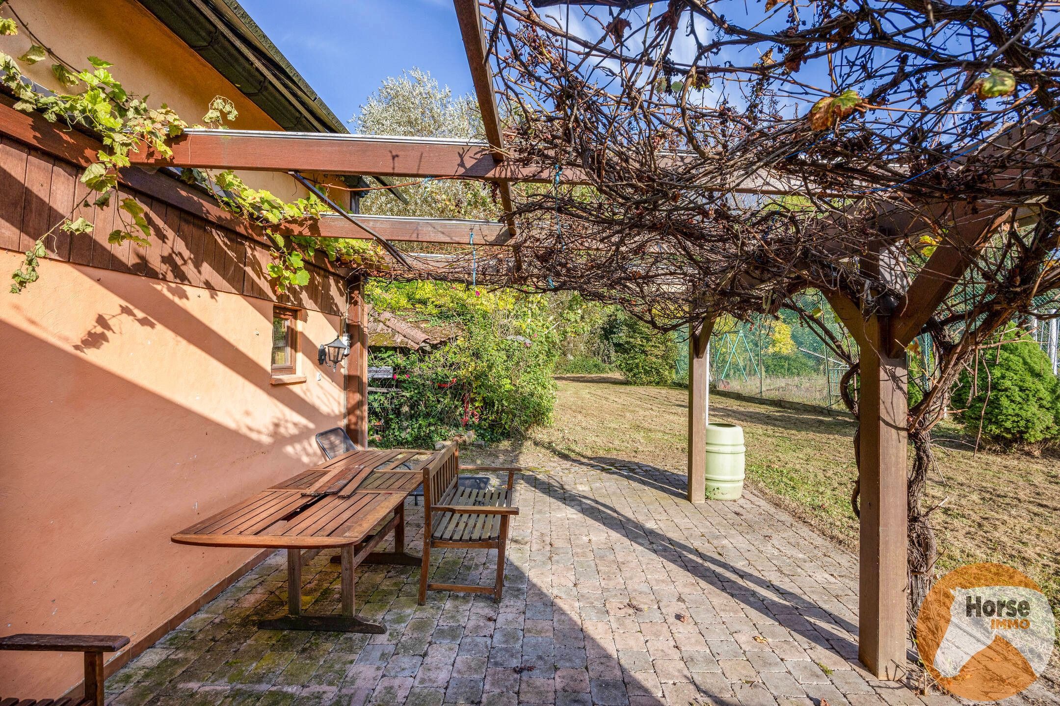 VELTEM-BEISEM - Woning met weilanden en eigen bos op 3ha32 foto 5