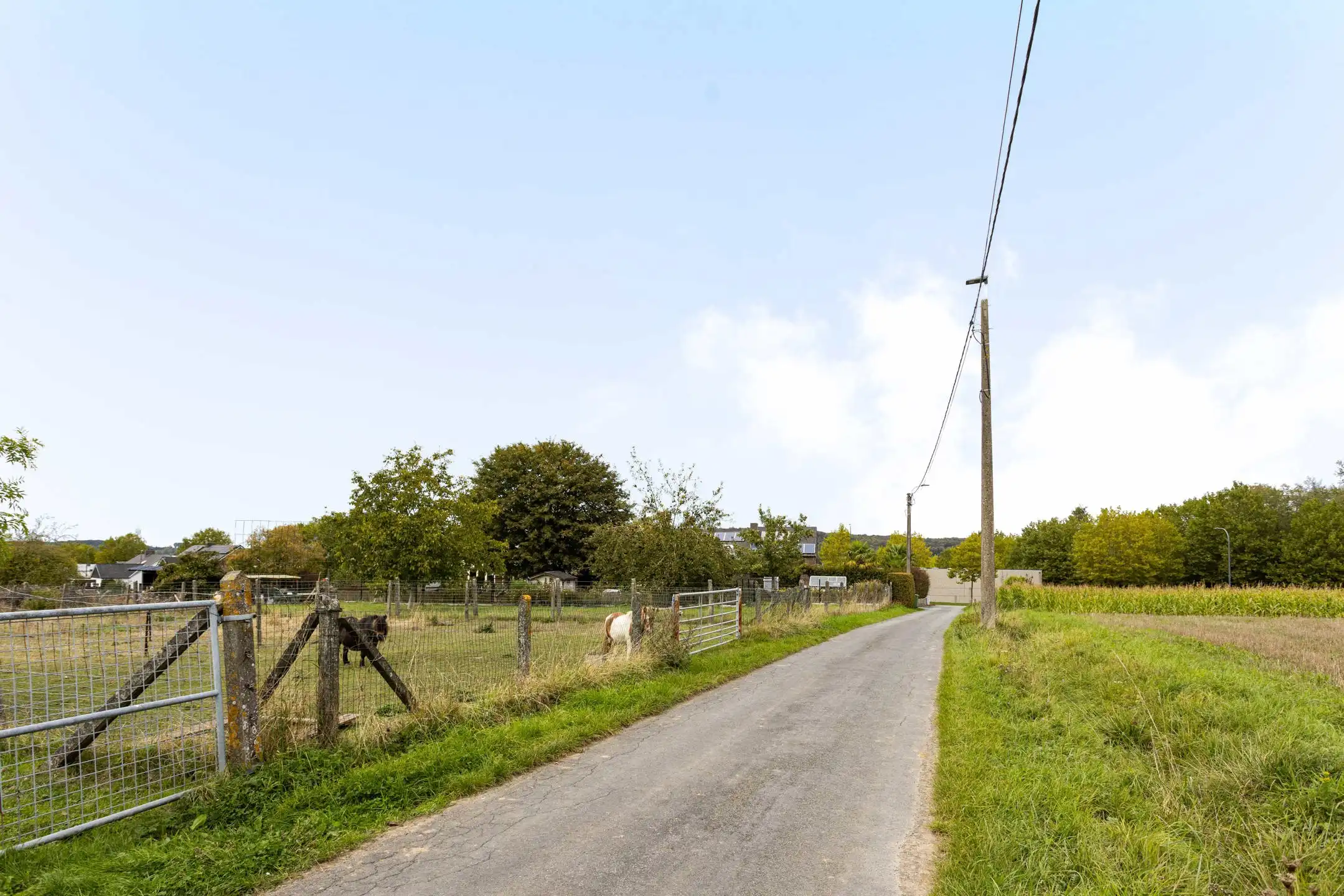 Rustig gelegen weiland in een groene en landelijke omgeving! foto 10