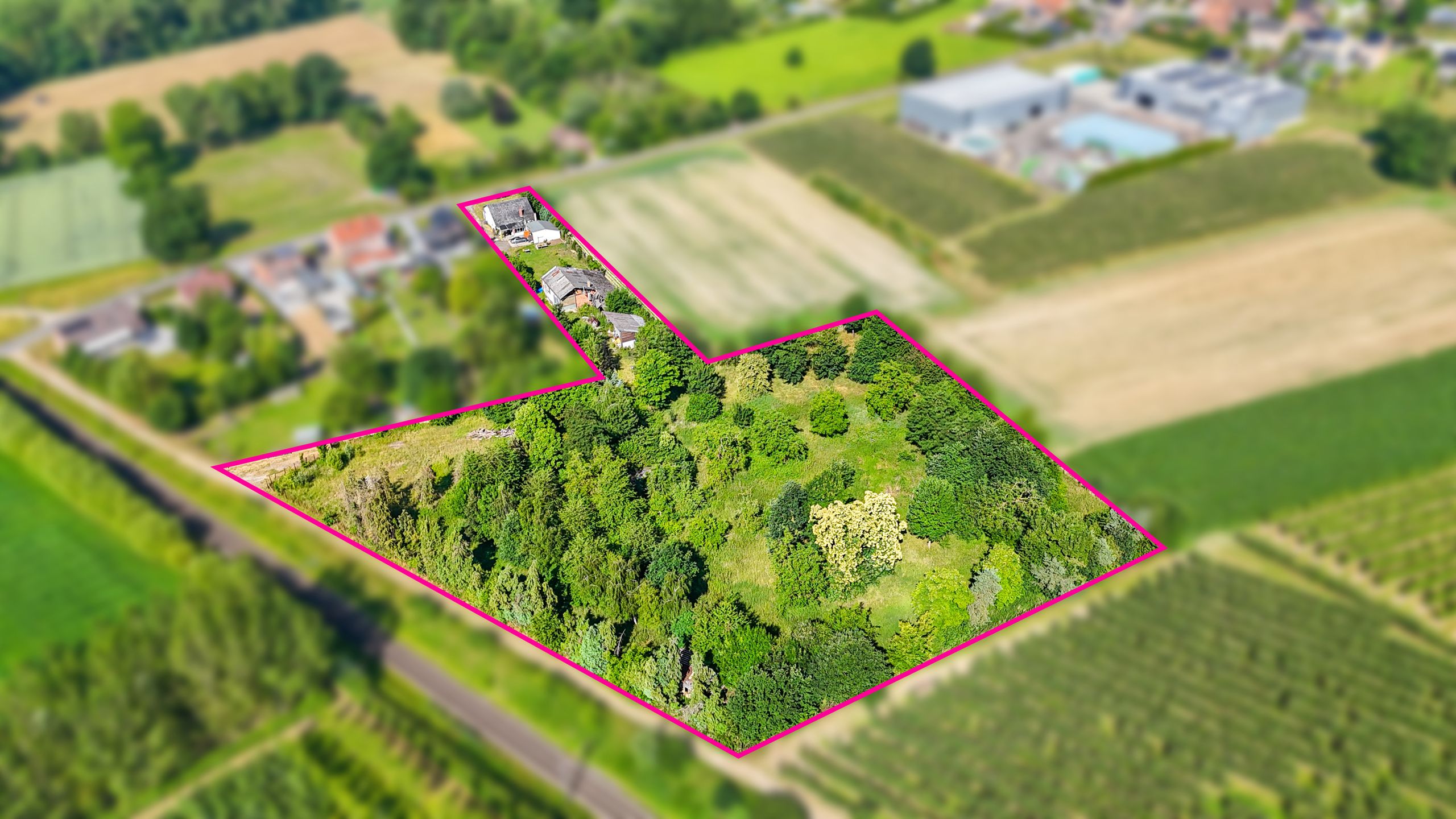 Vrijstaande woning met hangar en groot stuk grond-13.000m²! foto 47