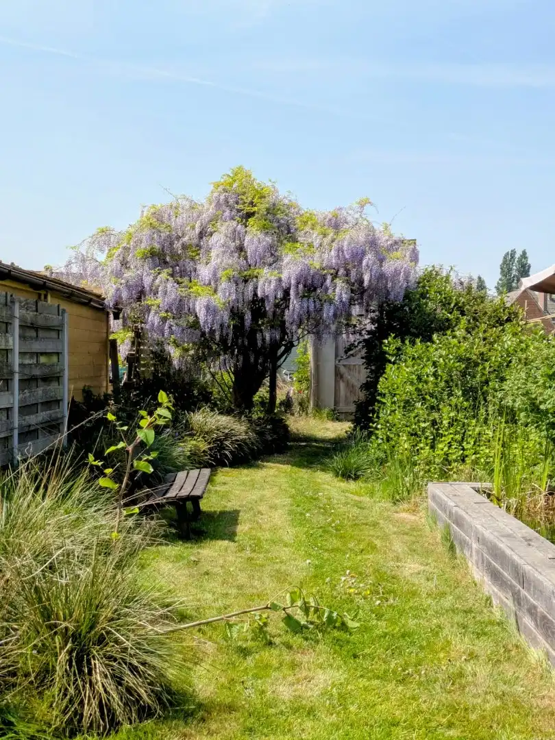 Energiezuinige rijwoning met tuinkamer foto 28