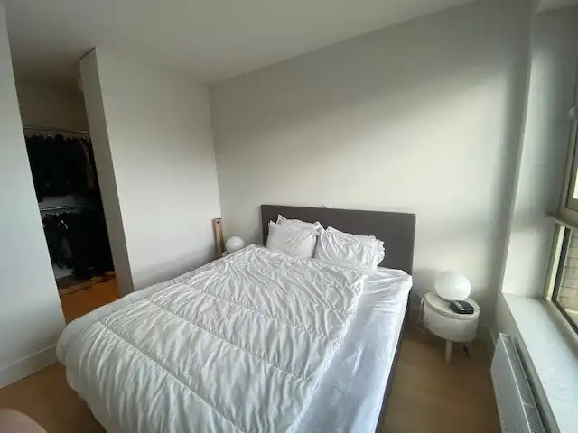 Ruime en gemeubelde penthouse op het trendy Eilandje. foto 8