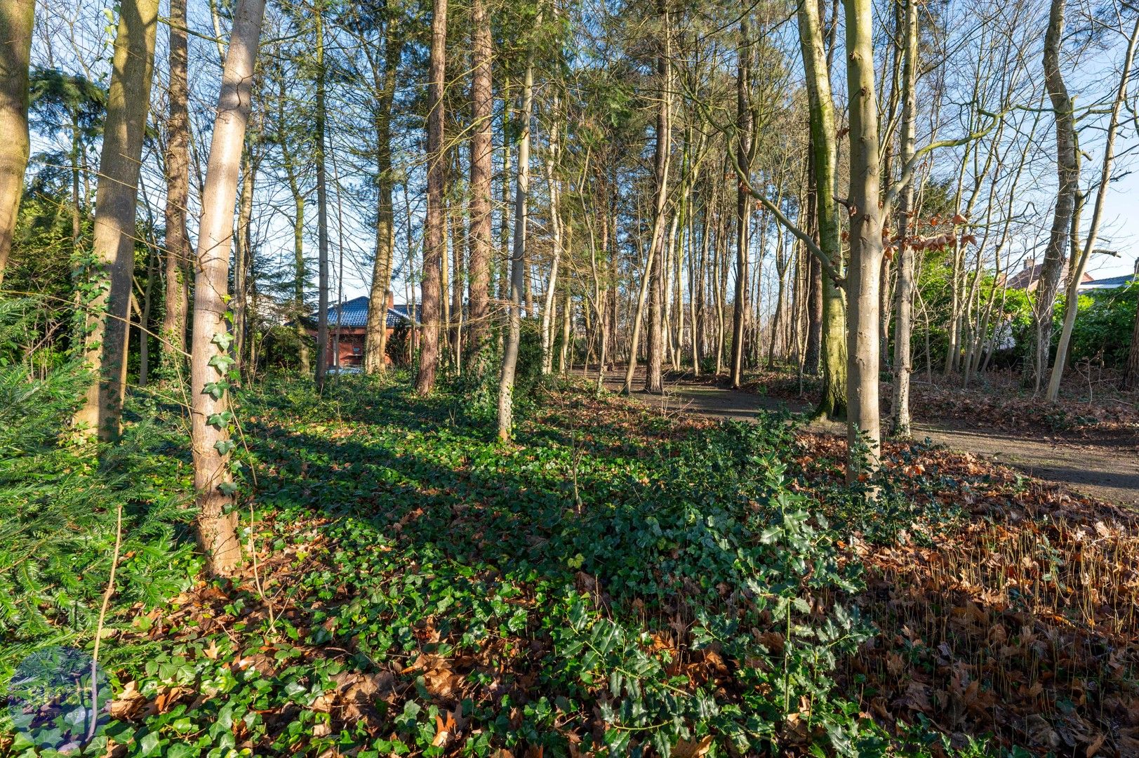 Bouwgrond voor groepswoningbouwproject van 3.600 m2 foto 4