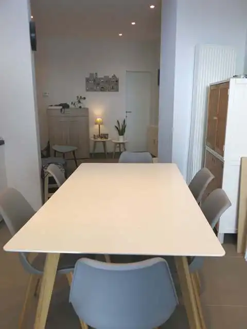 Gerenoveerd gelijkvloers appartement met ruim STADSTERRAS te huur in Brugge foto 4