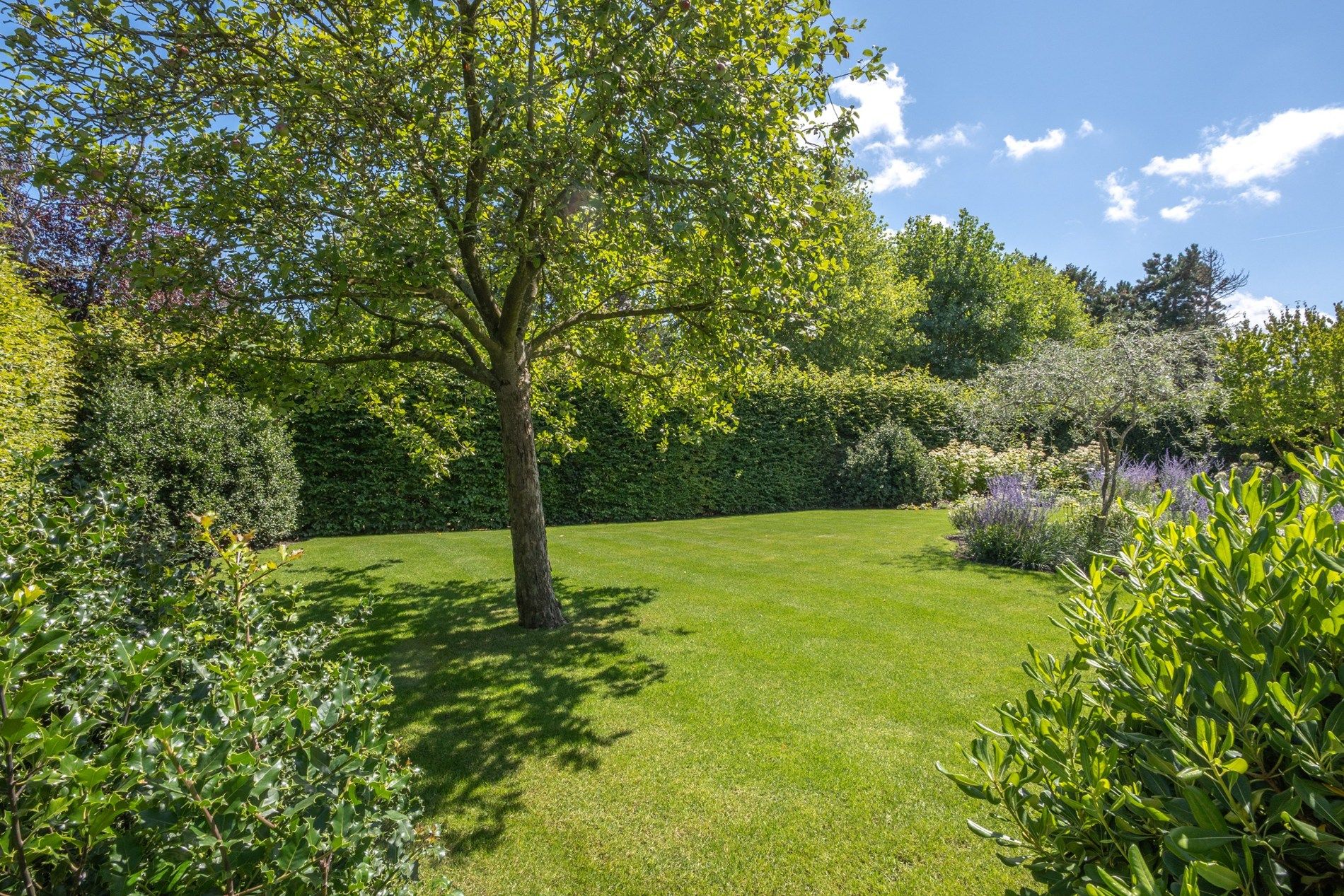 Nieuwbouwvilla rustig gelegen in het Zoute foto 25