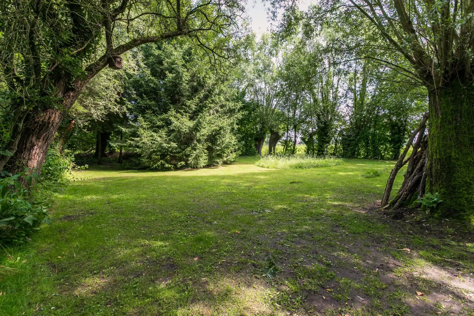 Ruime woning gelegen in een groene omgeving foto 16