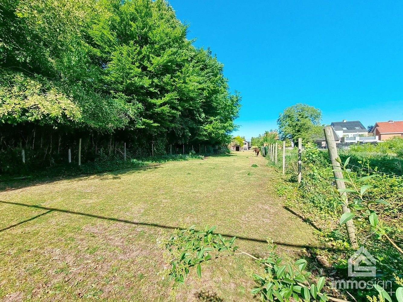 Grond te koop in Heusden-Zolder – Rustige ligging, groot perceel! foto 6