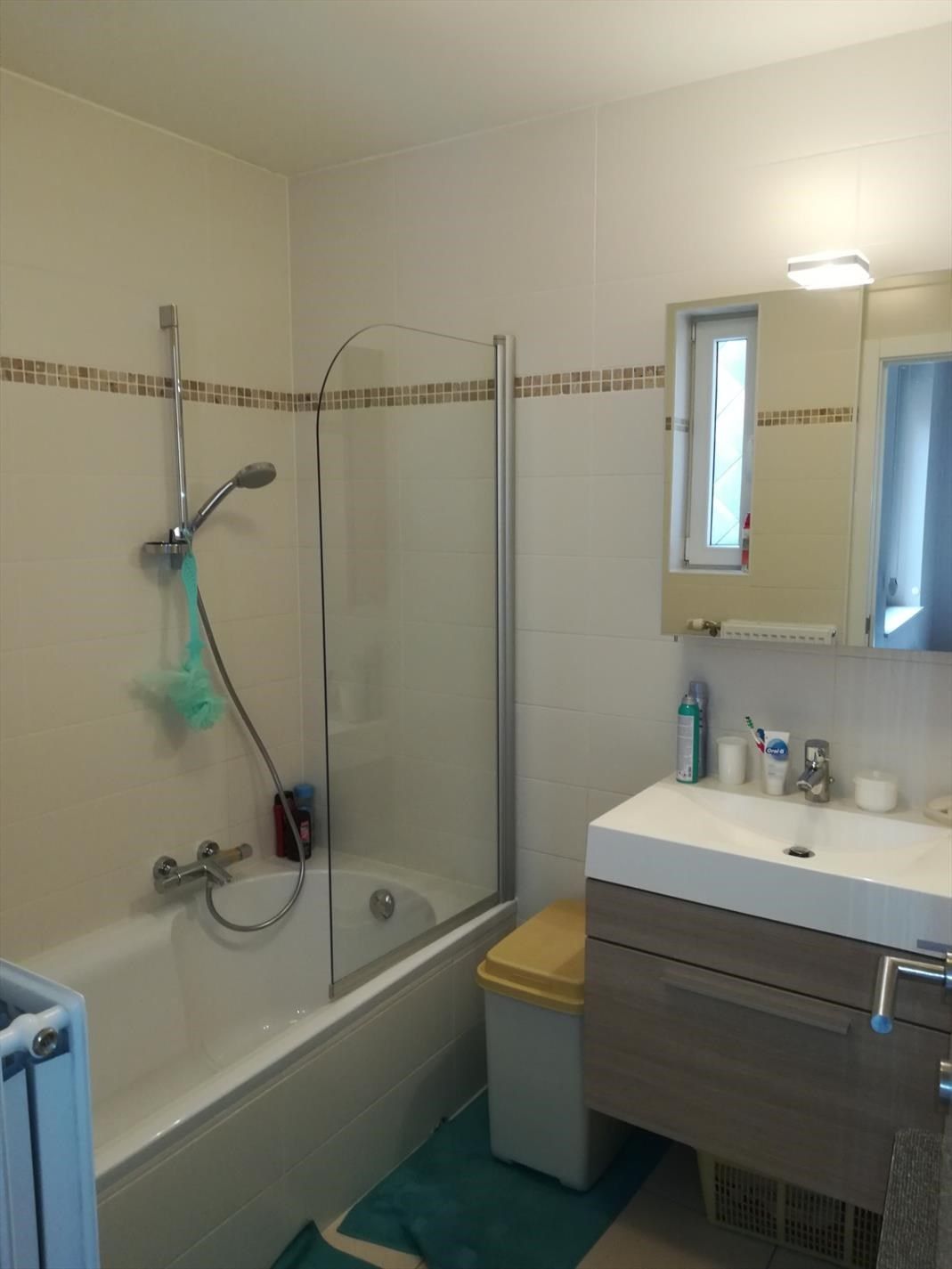 Ongemeubeld appartement met 1 slaapkamer en terras foto 3