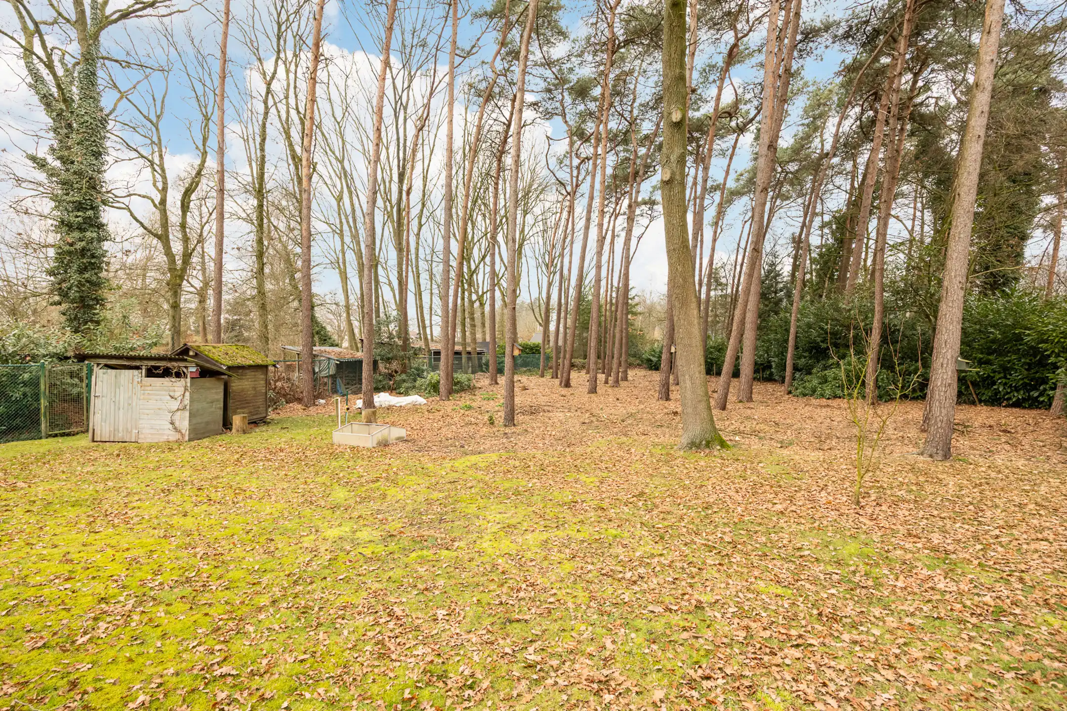 Te renoveren laagbouw gelegen op groot perceel te Merksplas. foto 6