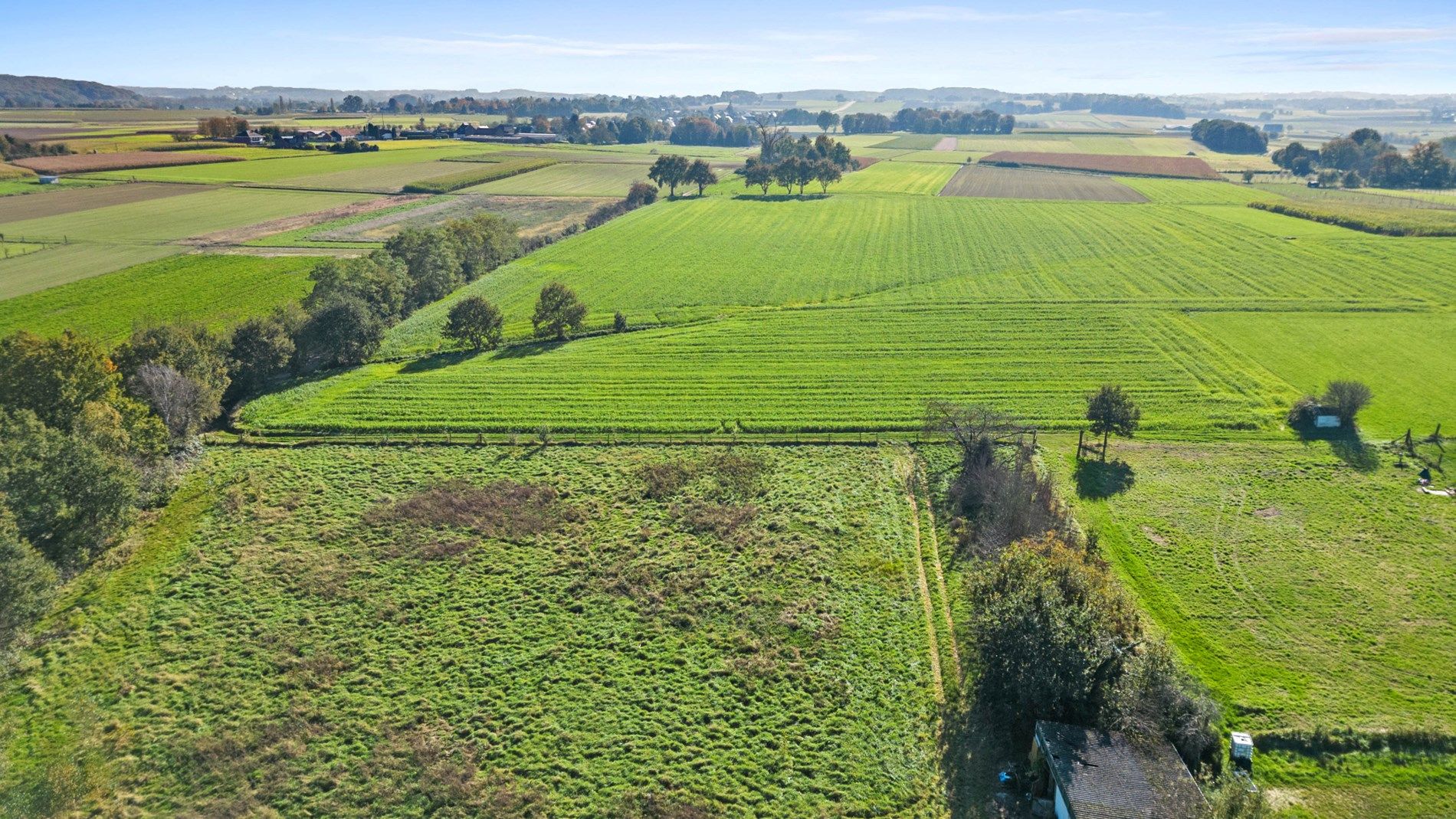 HOLSBEEK - projectgrond +1 hectare foto 3