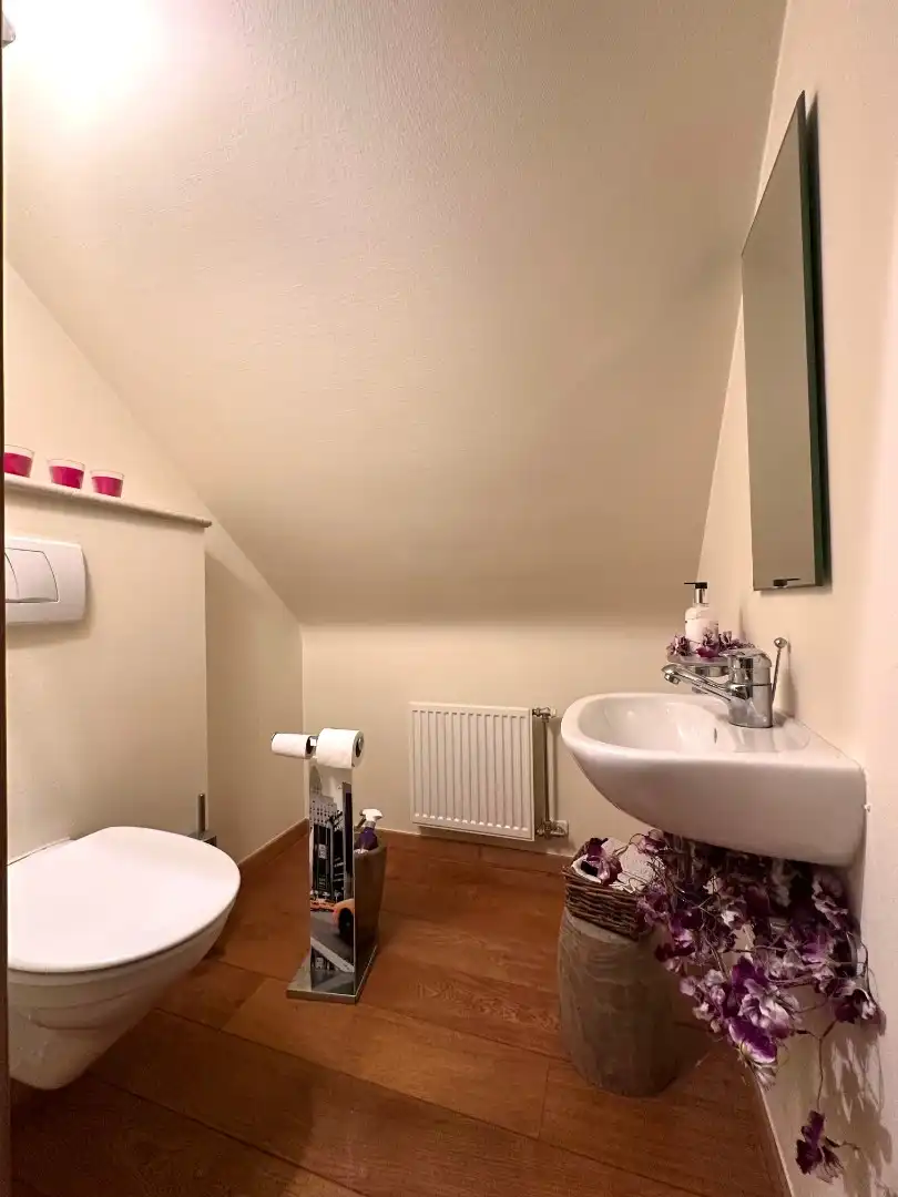 Charmante villa met grote tuin in groene omgeving te Roksem foto 16