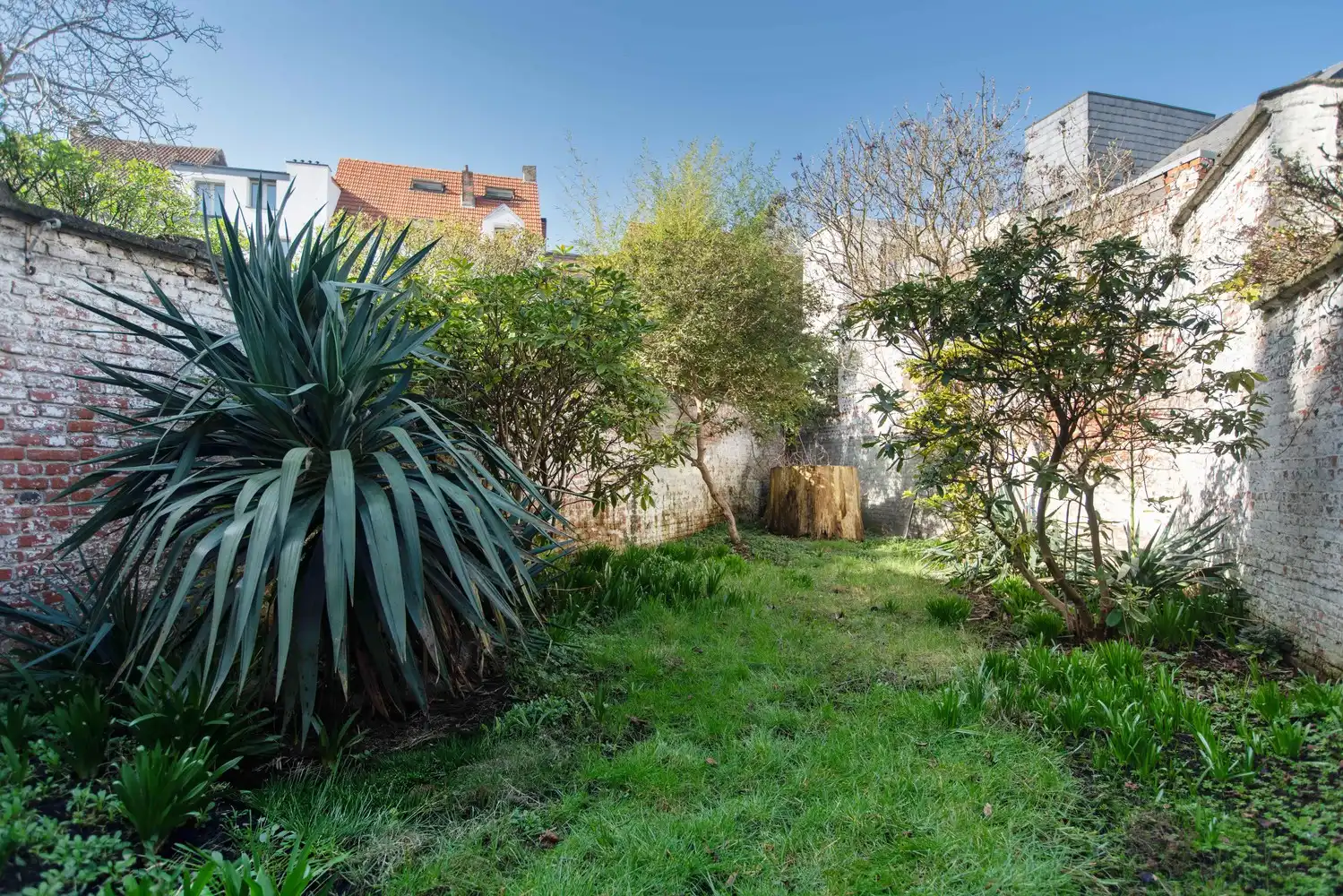 Gerenoveerd herenhuis met 4 slaapkamers en heerlijke tuin in Zurenborg foto 2