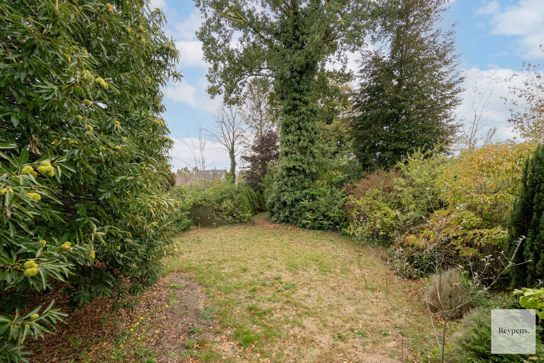 Prachtige landelijke stijlvilla met grote parktuin foto 32