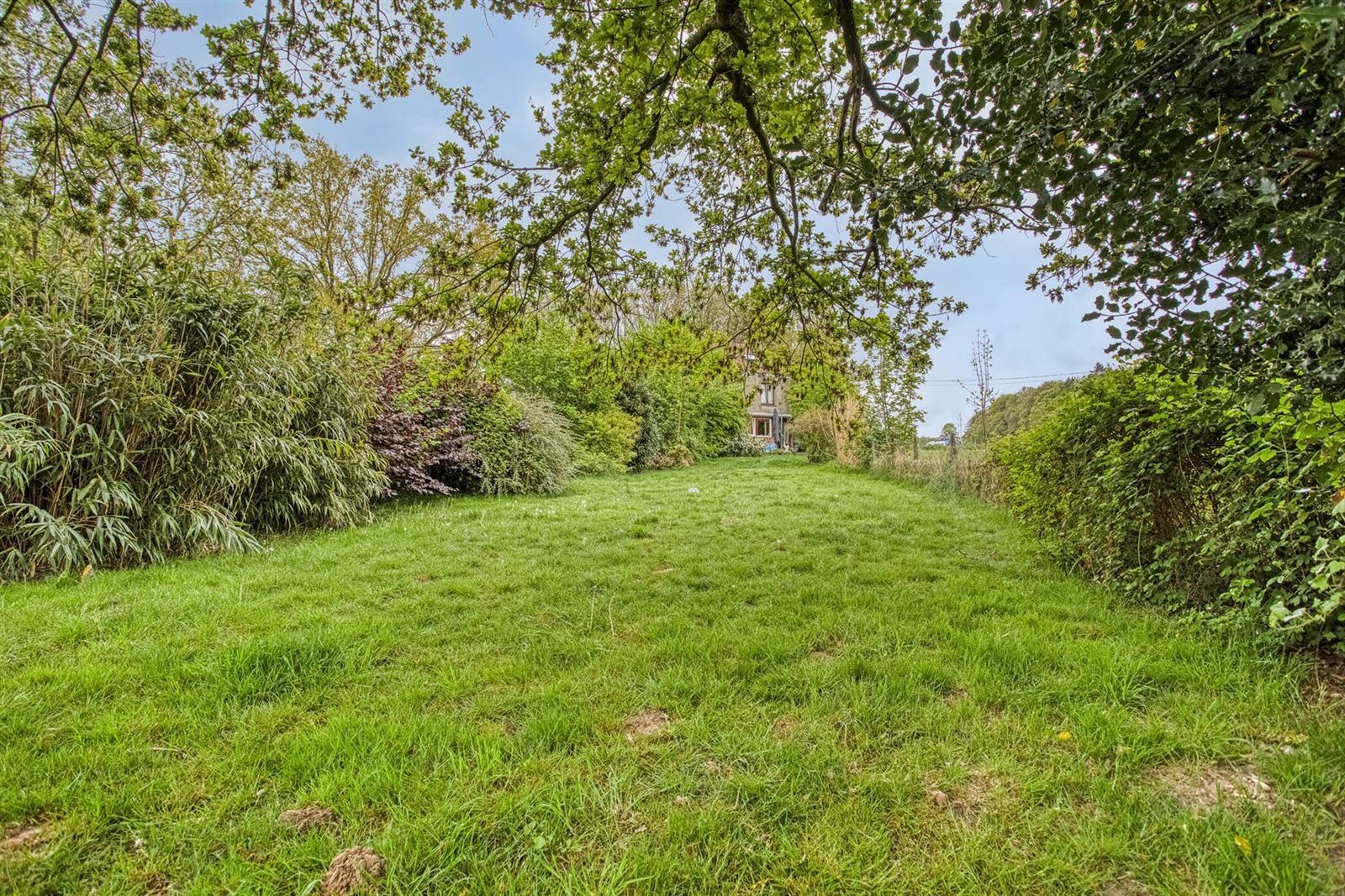 Woning met grote tuin te Dworp foto 3