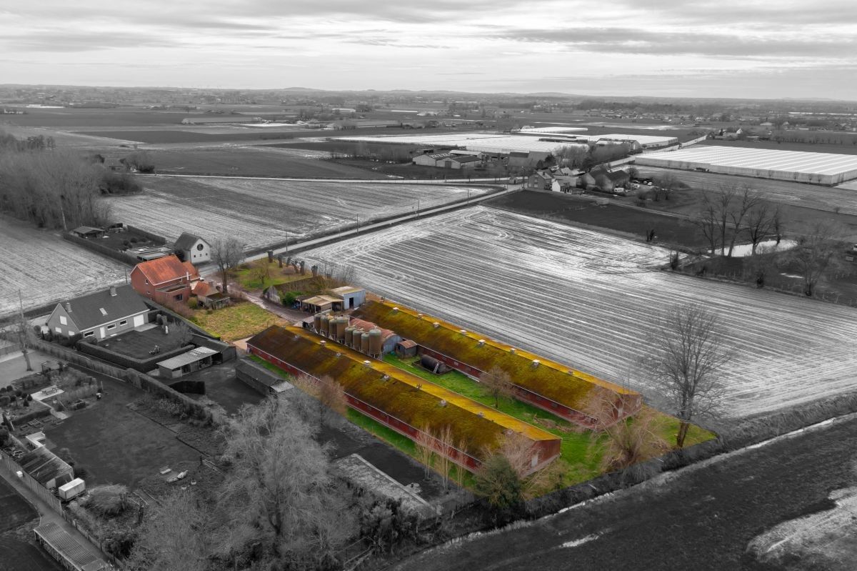 Hoeve te koop met vergunde functiewijziging te Diksmuide foto 11