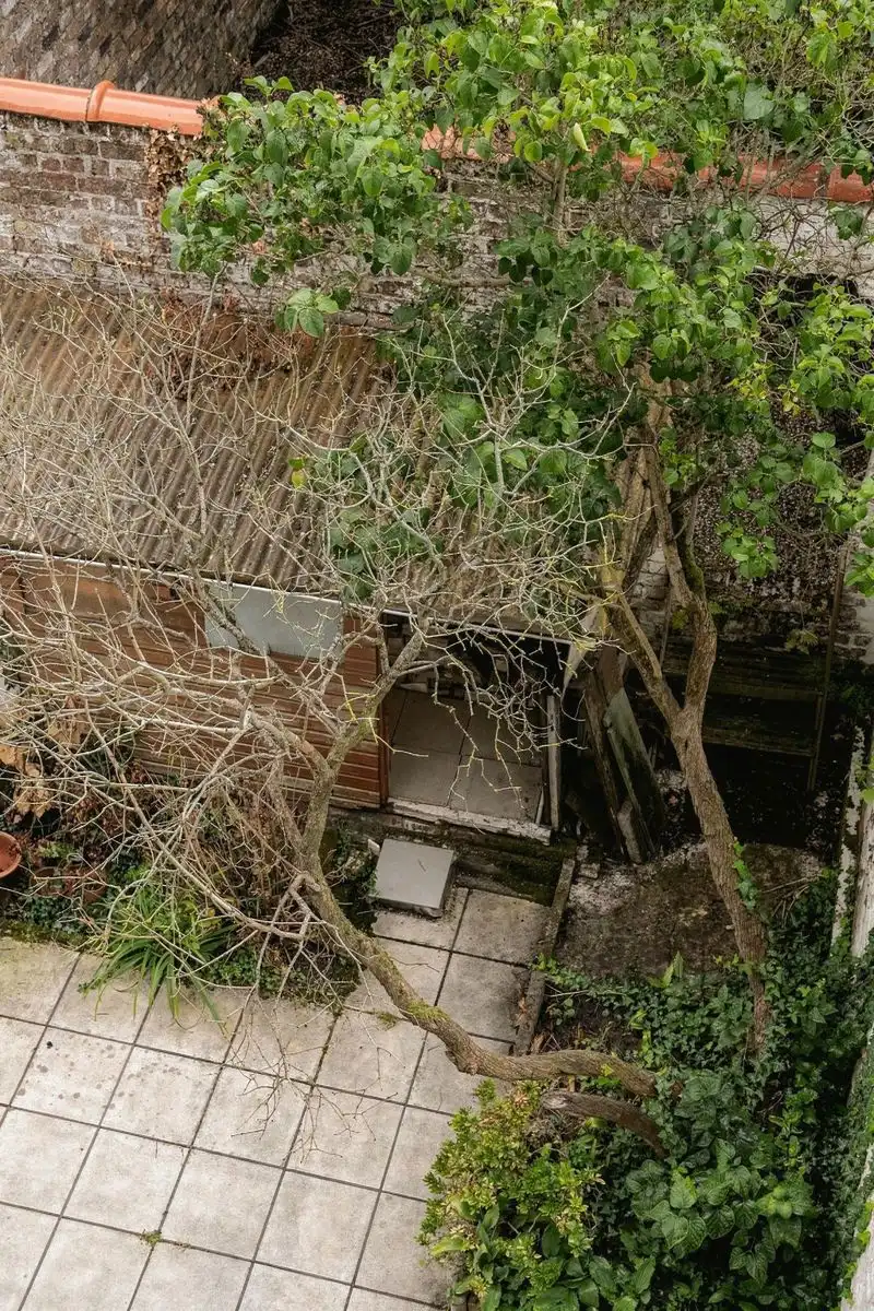 Te renoveren neoclassicistische woning op de rand van Bruge foto 14