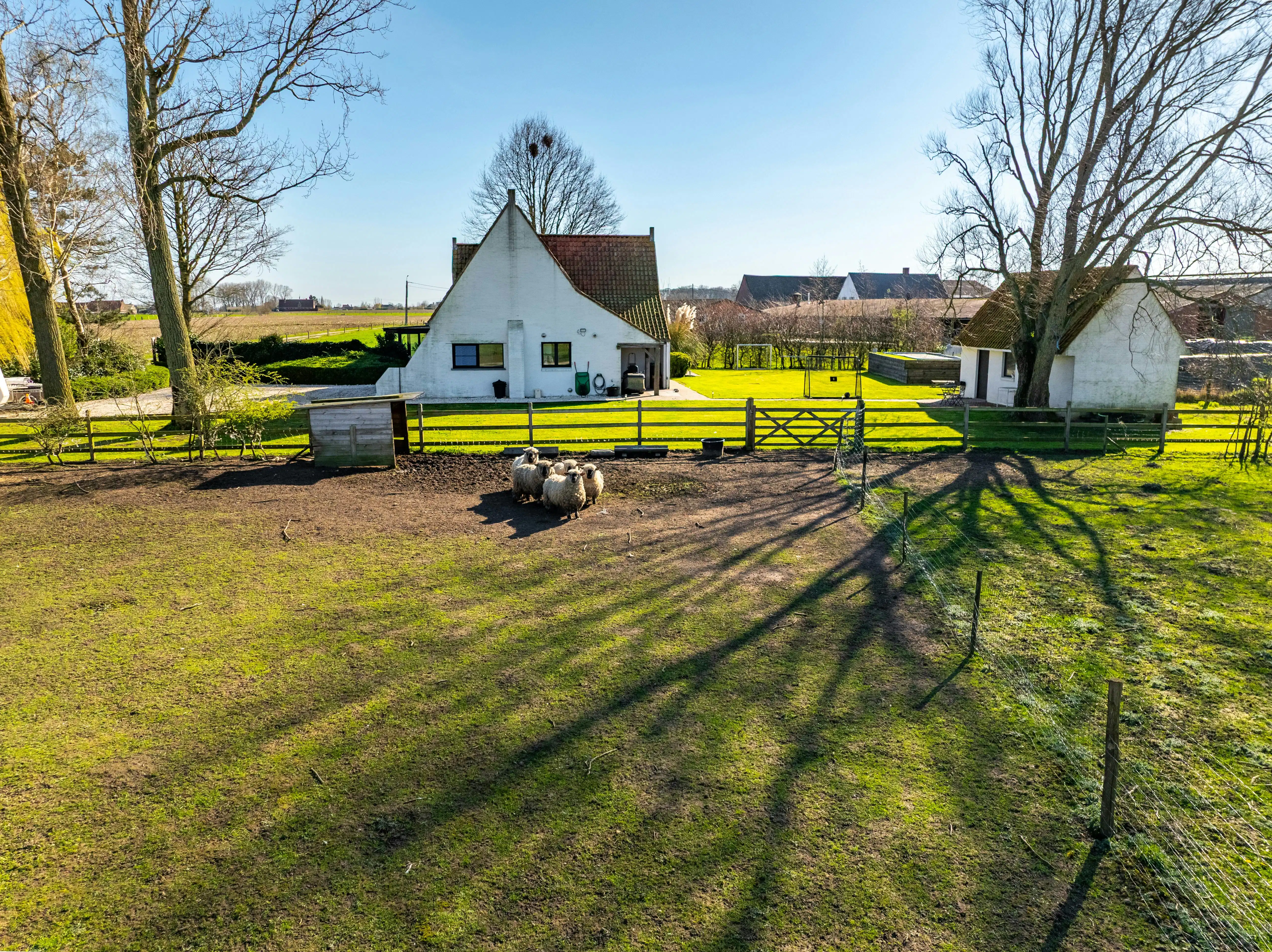 Landelijk alleenstaand huis op 4.806m² in Aarsele foto 19