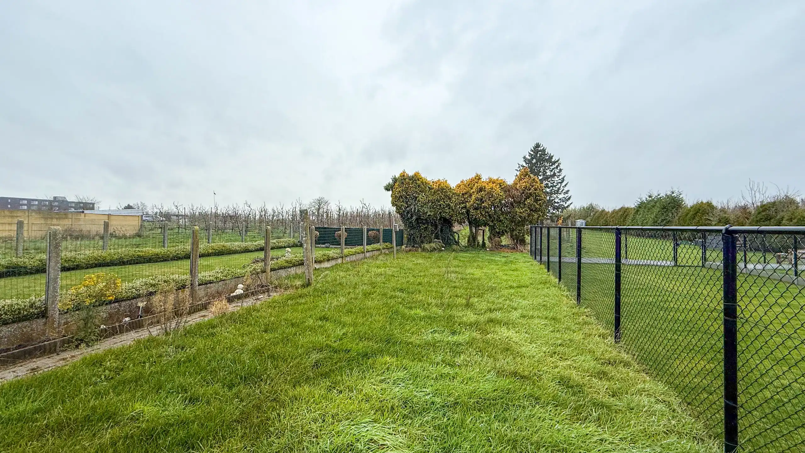 Renovatiewoning met stadstuin nabij centrum Borgloon foto 29