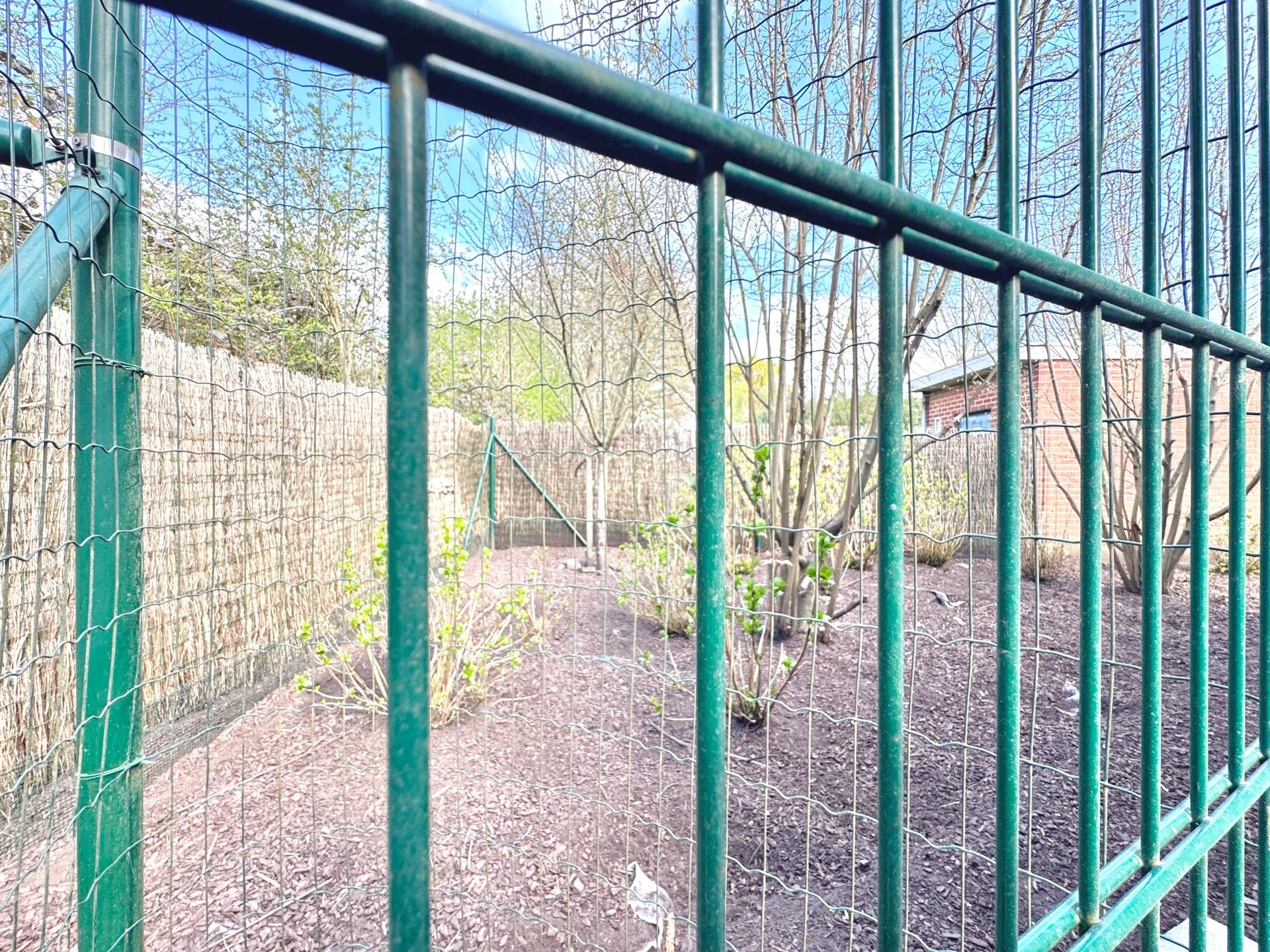 WONING MET MAGAZIJNTJE 52 m² + DUBBELE GARAGE 40 m² foto 10