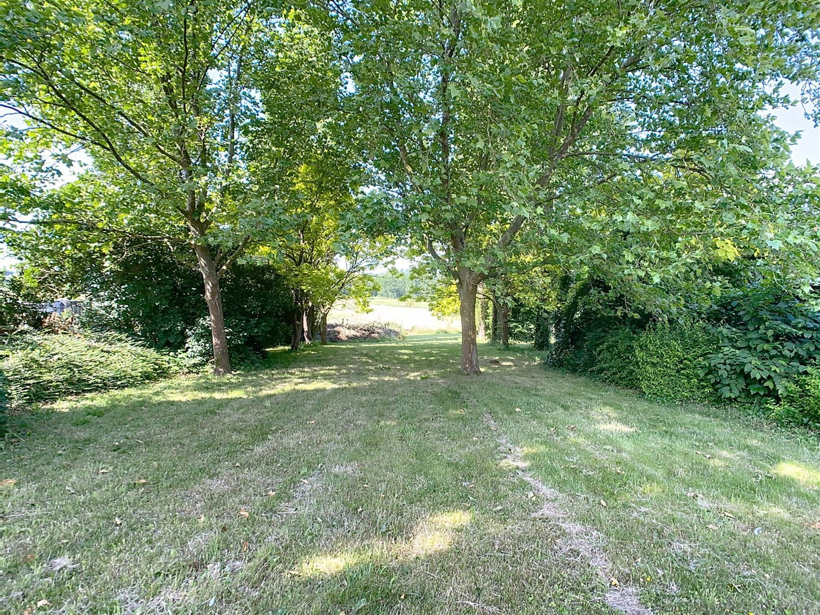 Ruime woning, 4 slpks, terras, tuin, weide, 46a 81ca foto 36