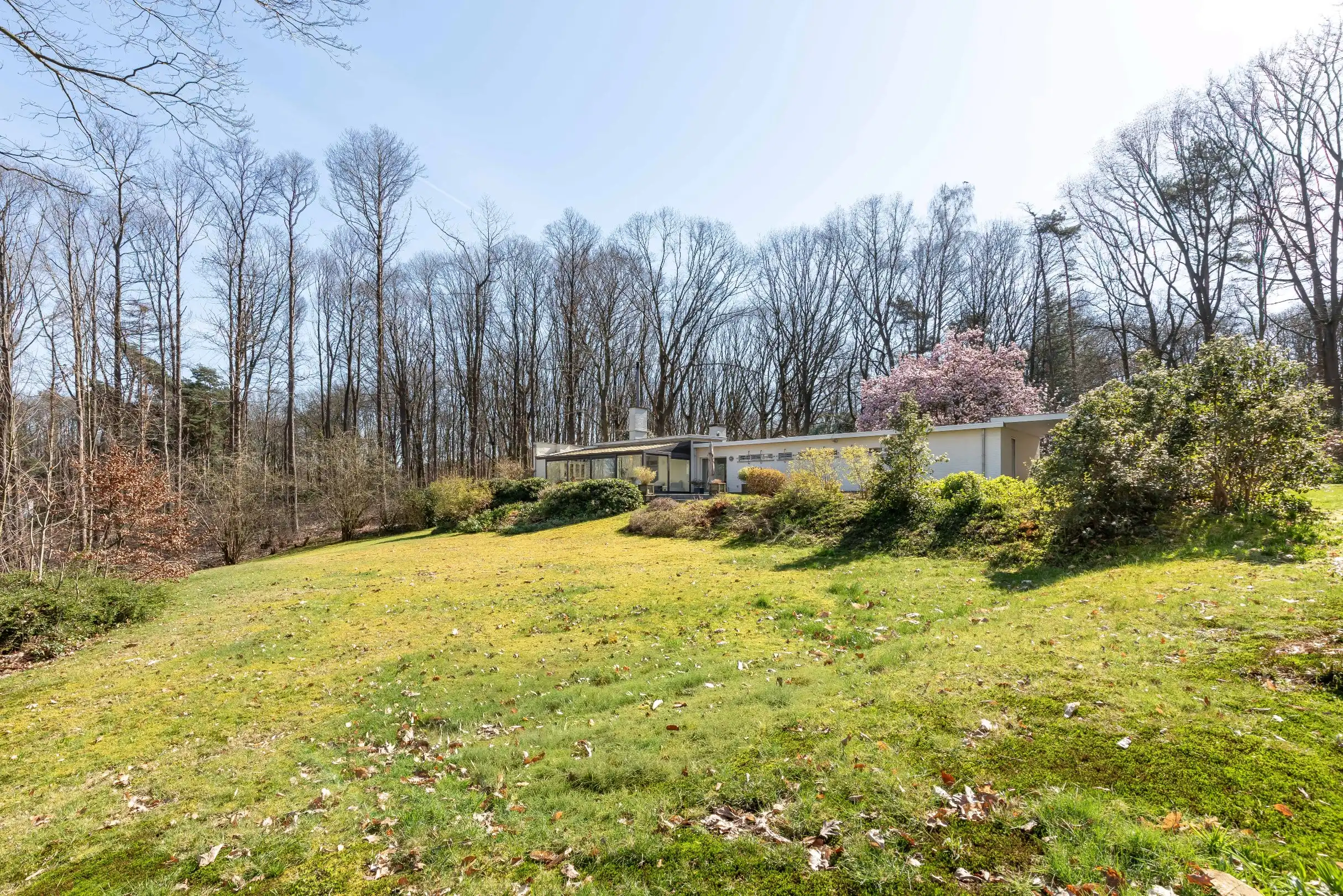 Unieke laagbouwvilla op 85 are parkgebied te Holsbeek foto 14