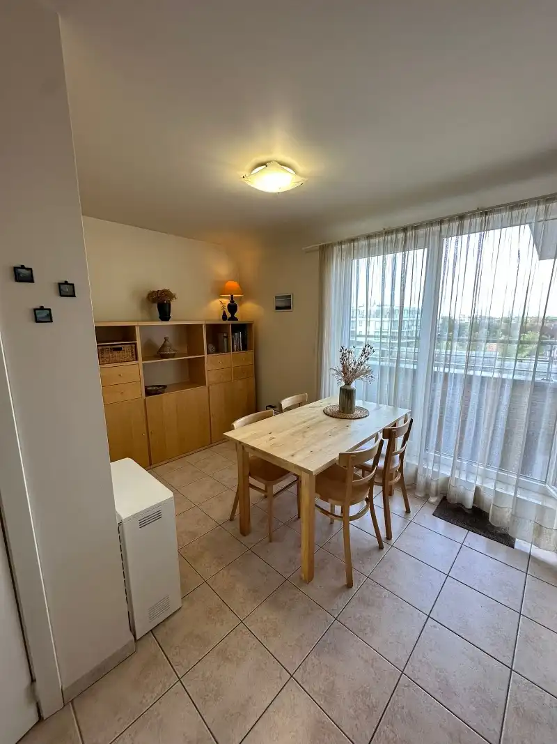 Mooi dakappartement met een groot dakterras en panoramisch uitzicht foto 8