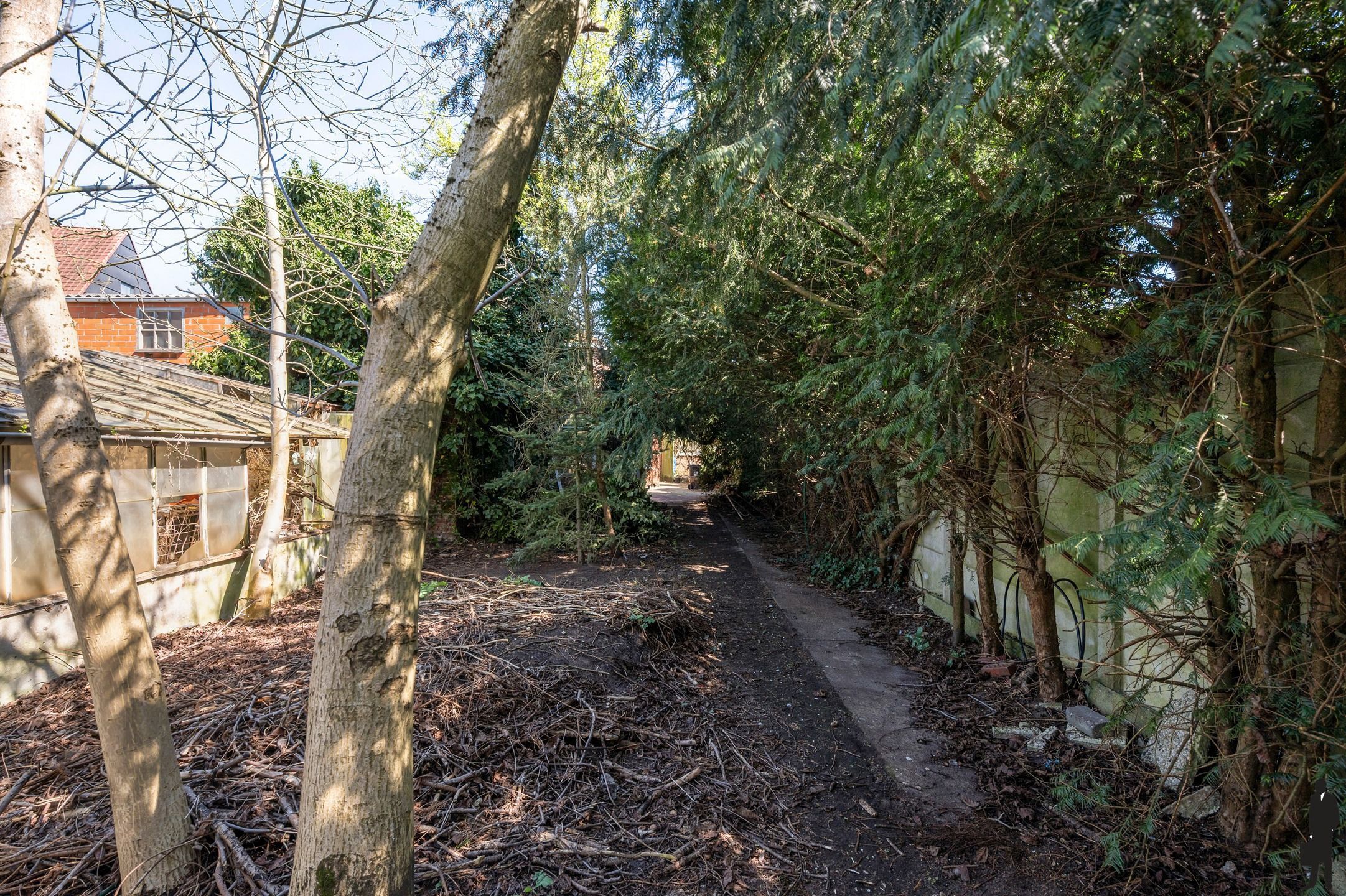 Charmante renovatiewoning op 550m² te Kalmthout foto 14
