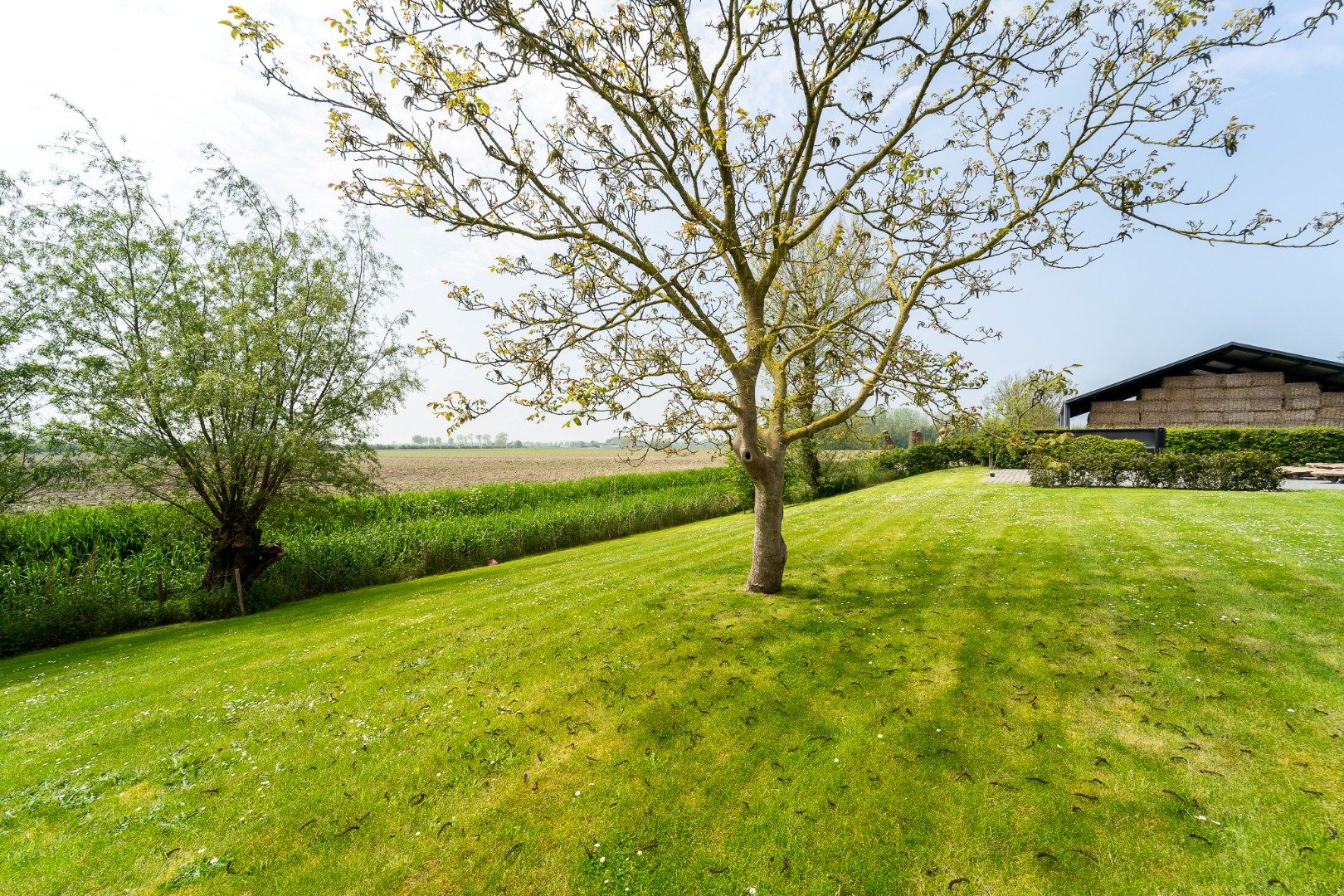 Prachtig gerenoveerde hoeve met panoramisch zicht over de polders foto 9