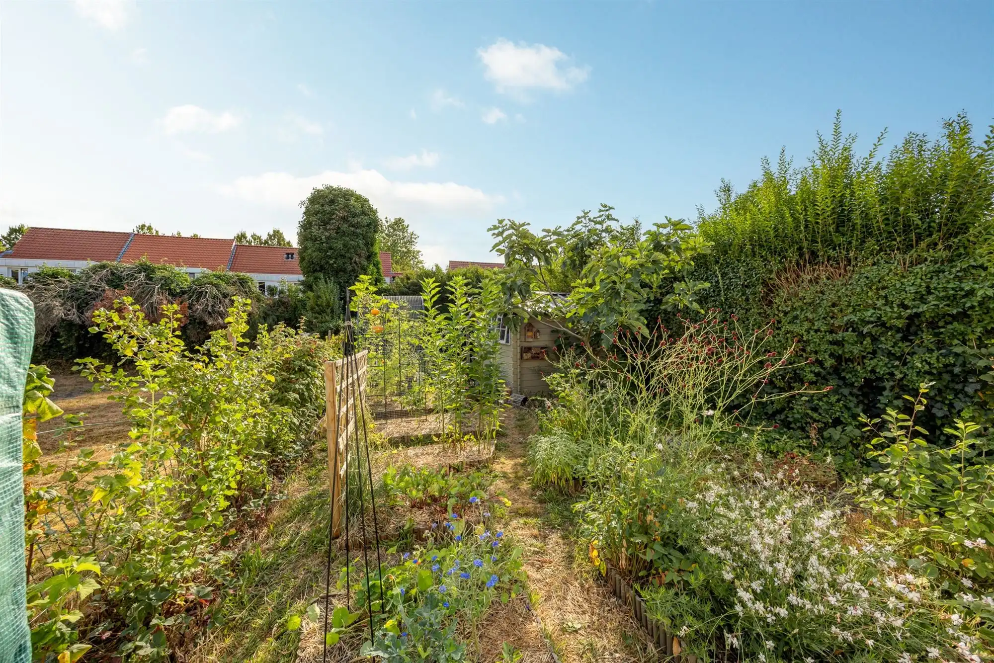Instapklaar huis met drie slaapkamers en tuin  foto 23