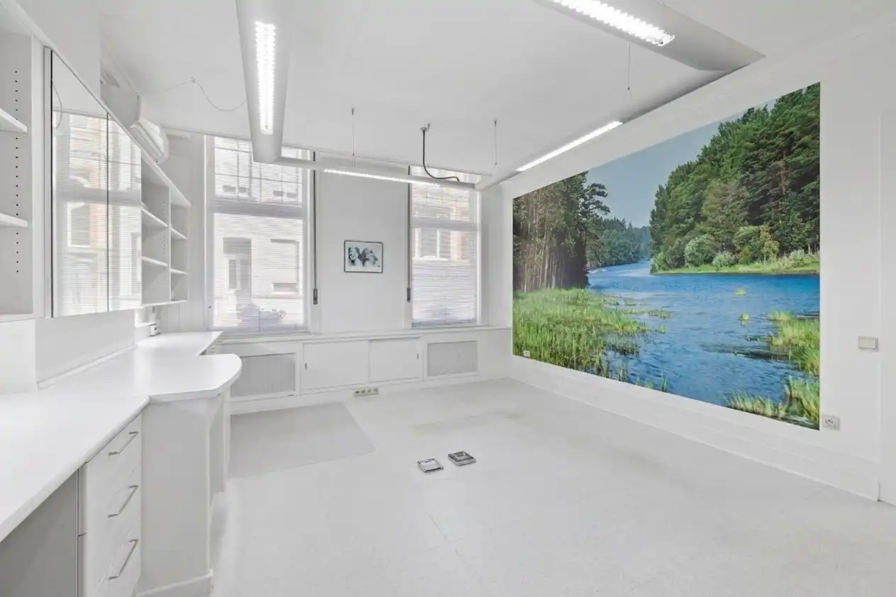 Kantoor of praktijkruimte te huur in unieke herenwoning te Aalst foto 4